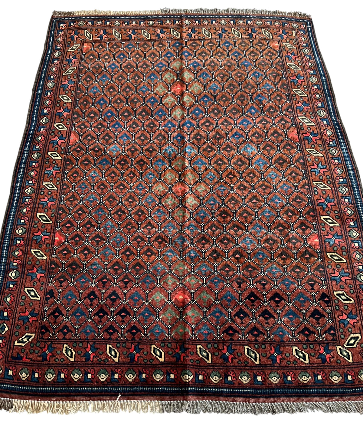 Afghani Rug 5x8 size range tribal laid flat
