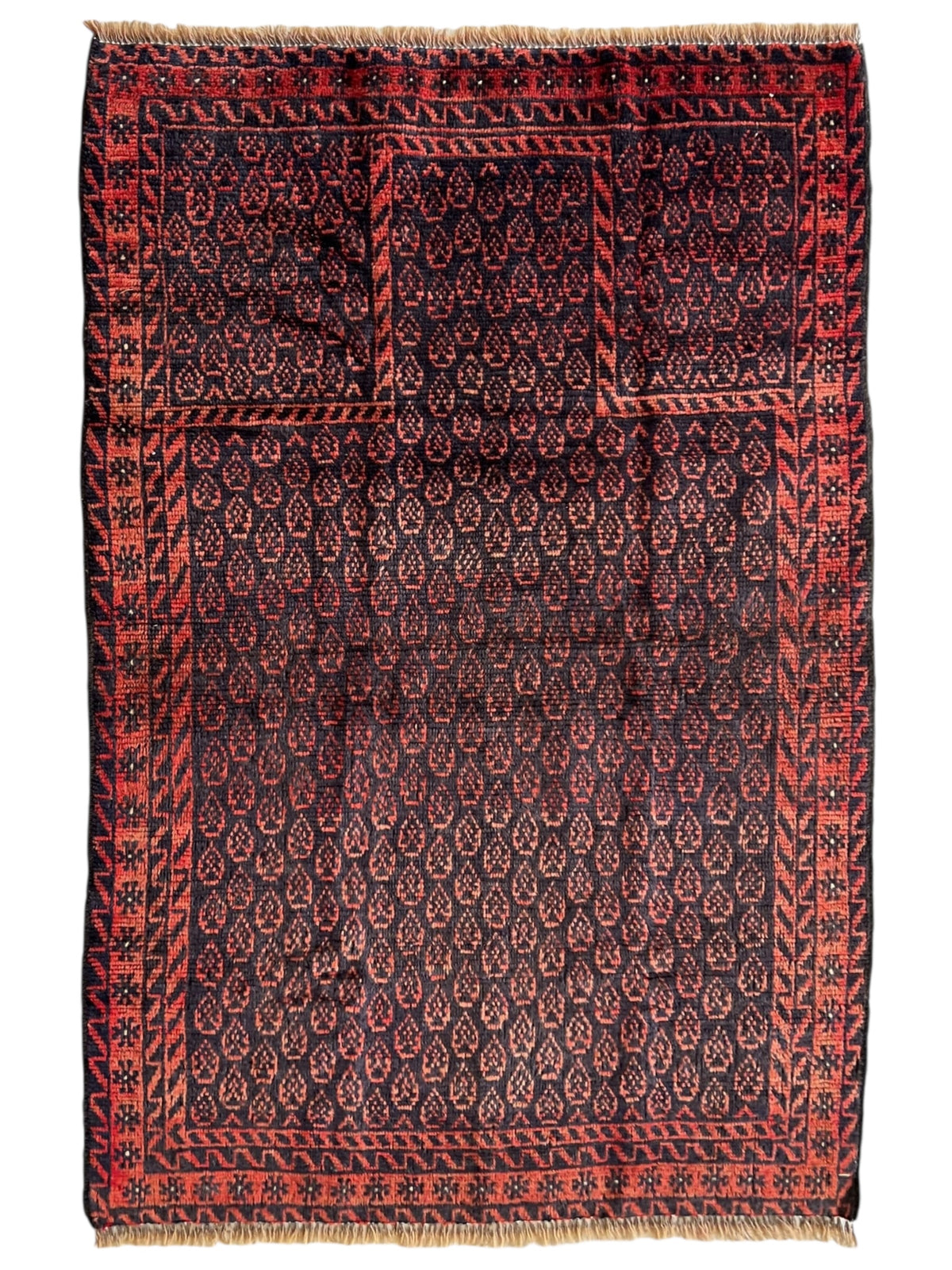 Afghani Prayer Rug 3x5 size range mihrab laid flat