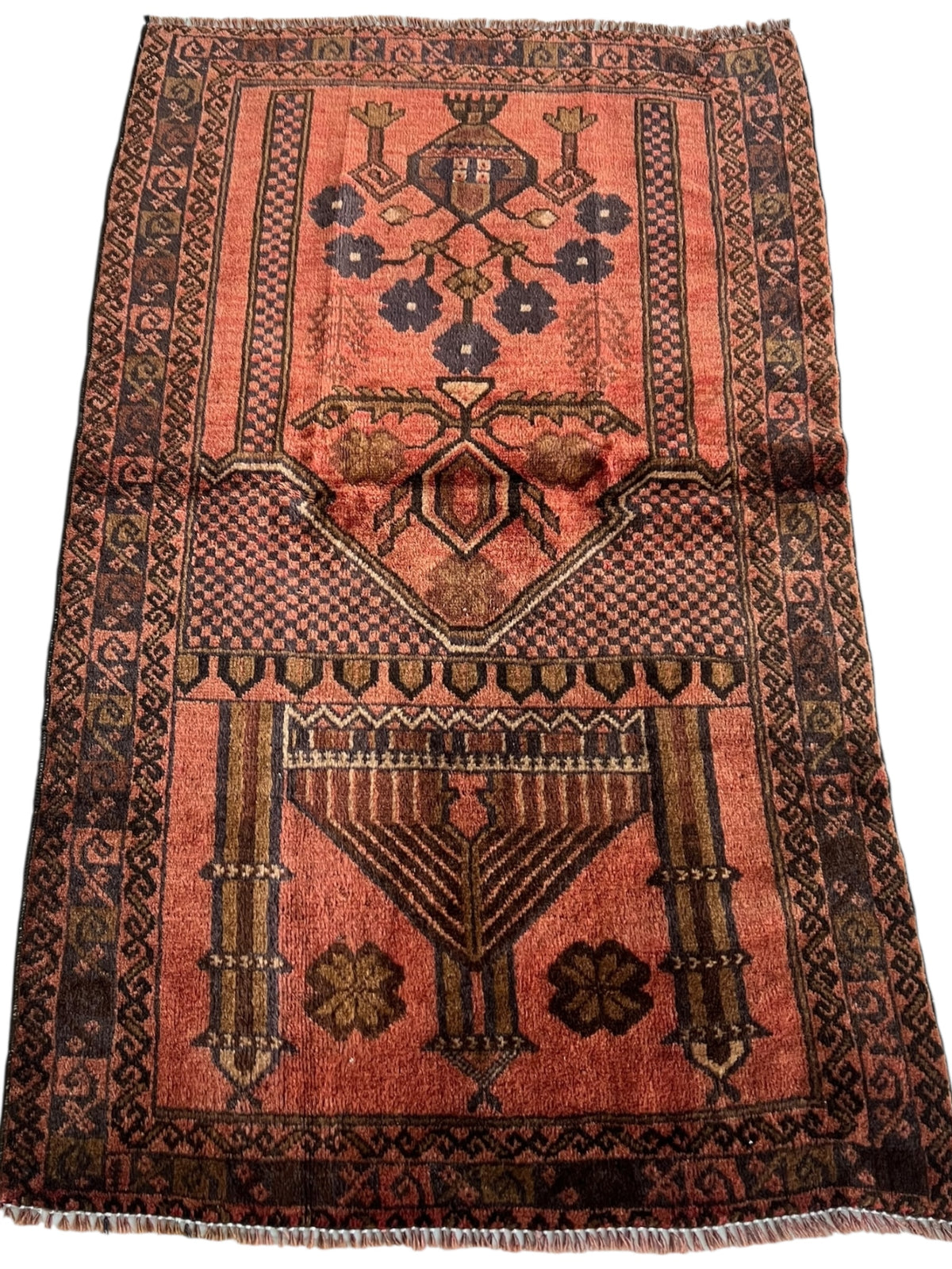 Afghani Prayer Rug 3x5 size range mihrab laid flat