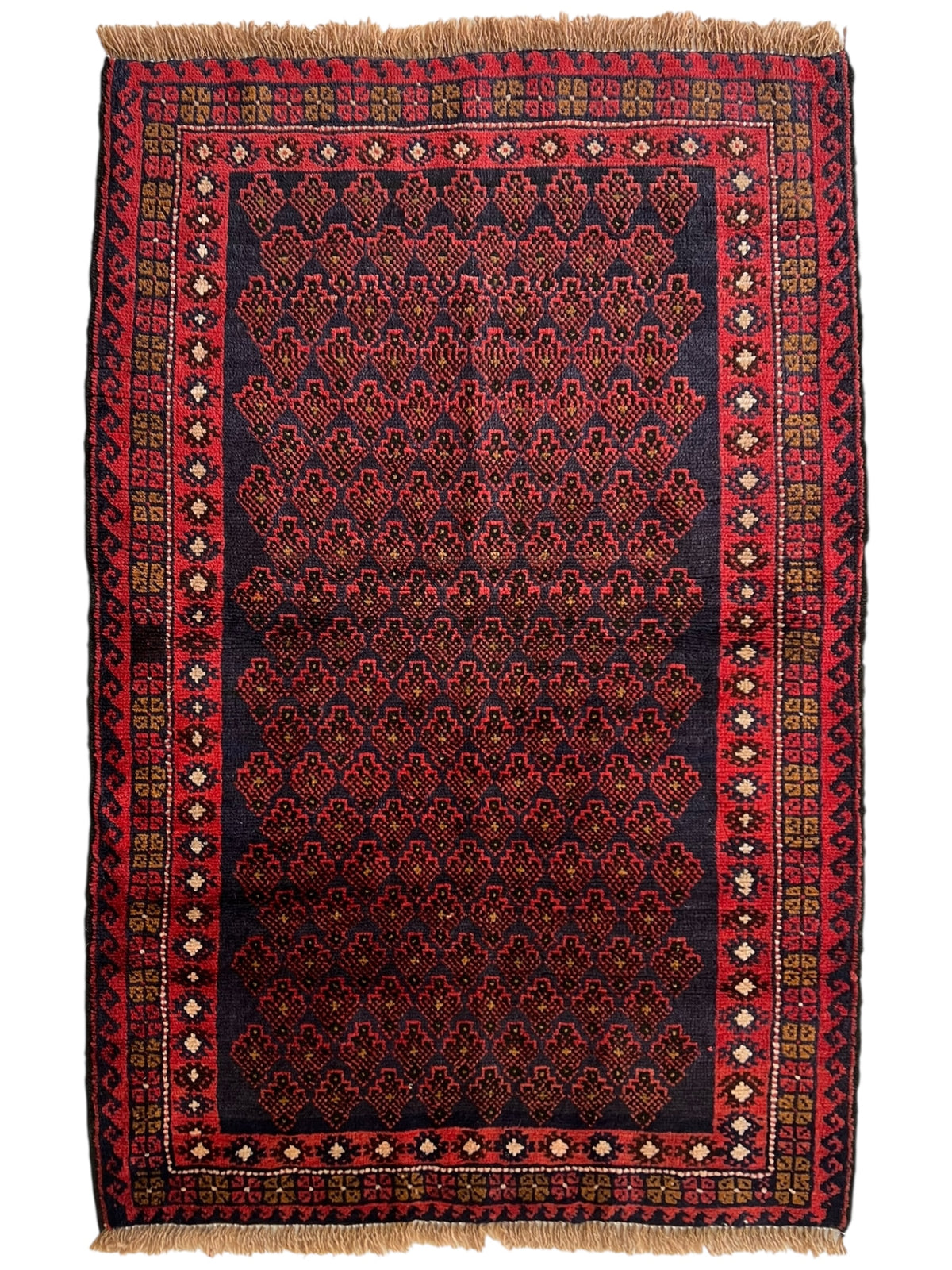 Afghani Rug 3x5 size range tribal Red Blue laid flat