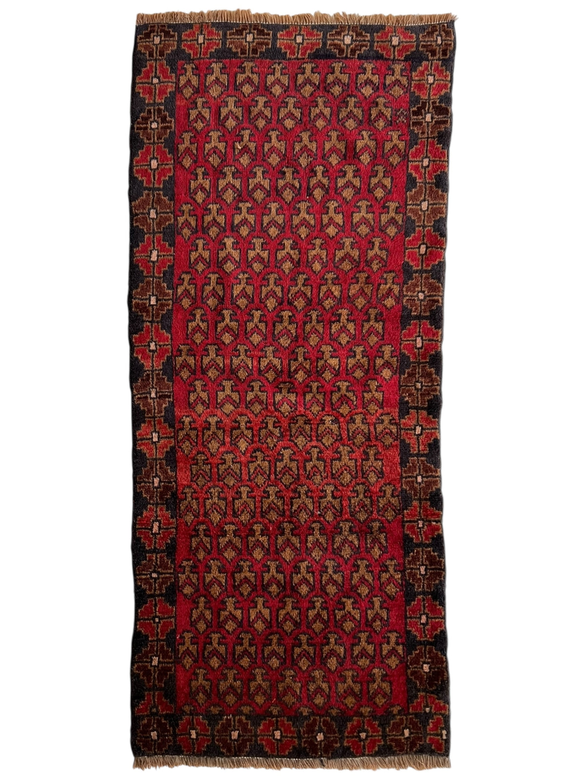 Afghani Rug 3x7 size range tribal laid flat