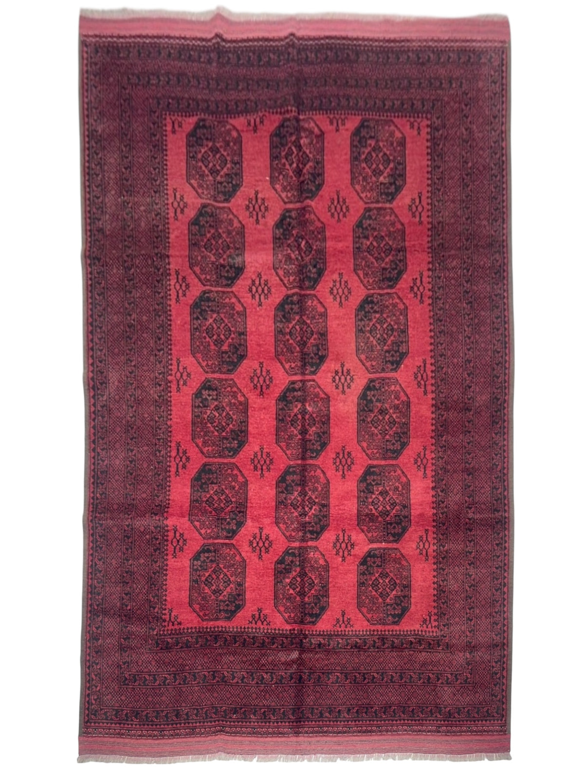 Afghan Bukhara Rug 6'9" x 9'8", Hand-Knotted Wool, Red & Black