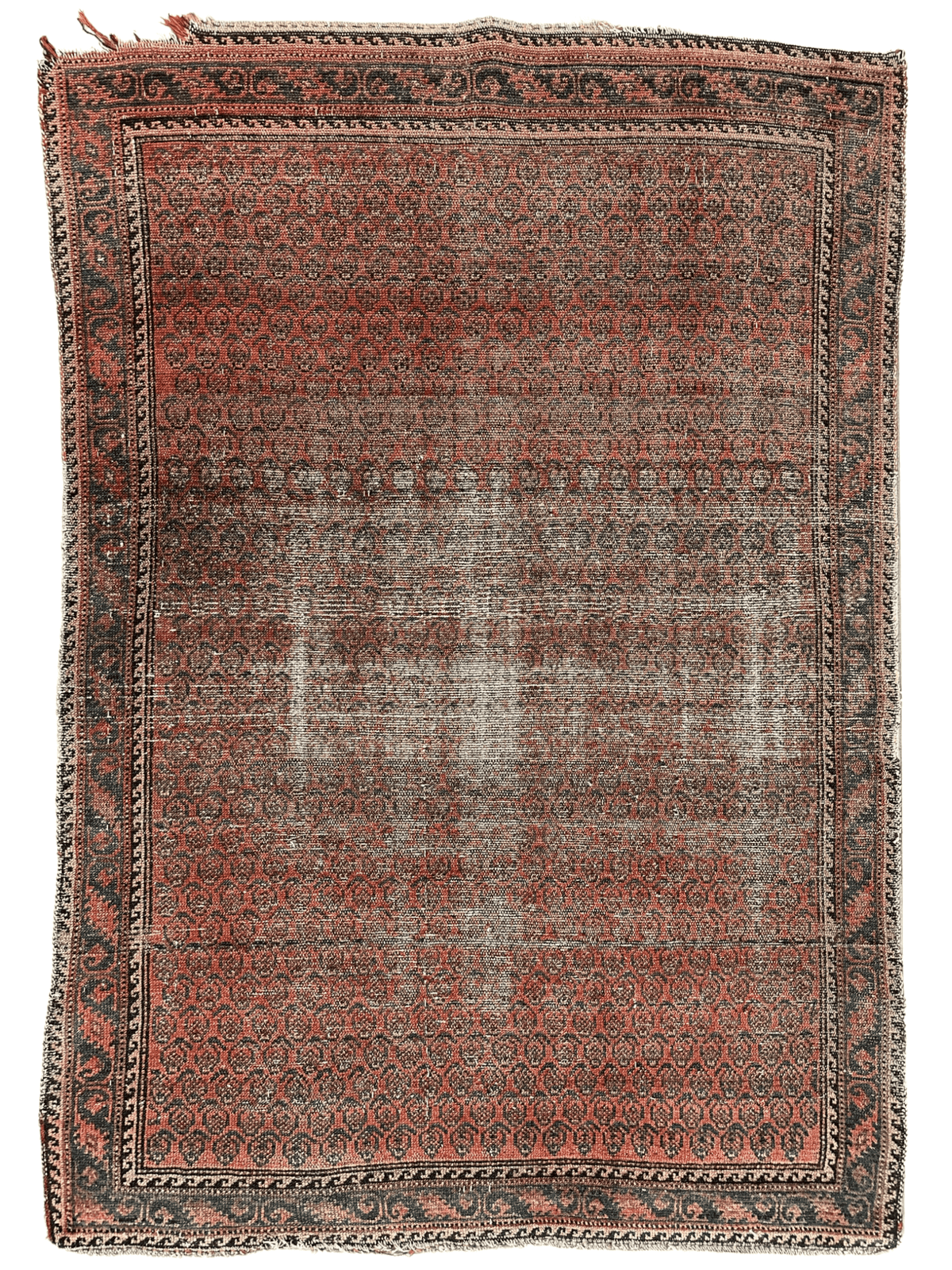 Antique Persian Boteh Rug 3'8" x 5'1", Hand-Knotted Wool, c. 1900