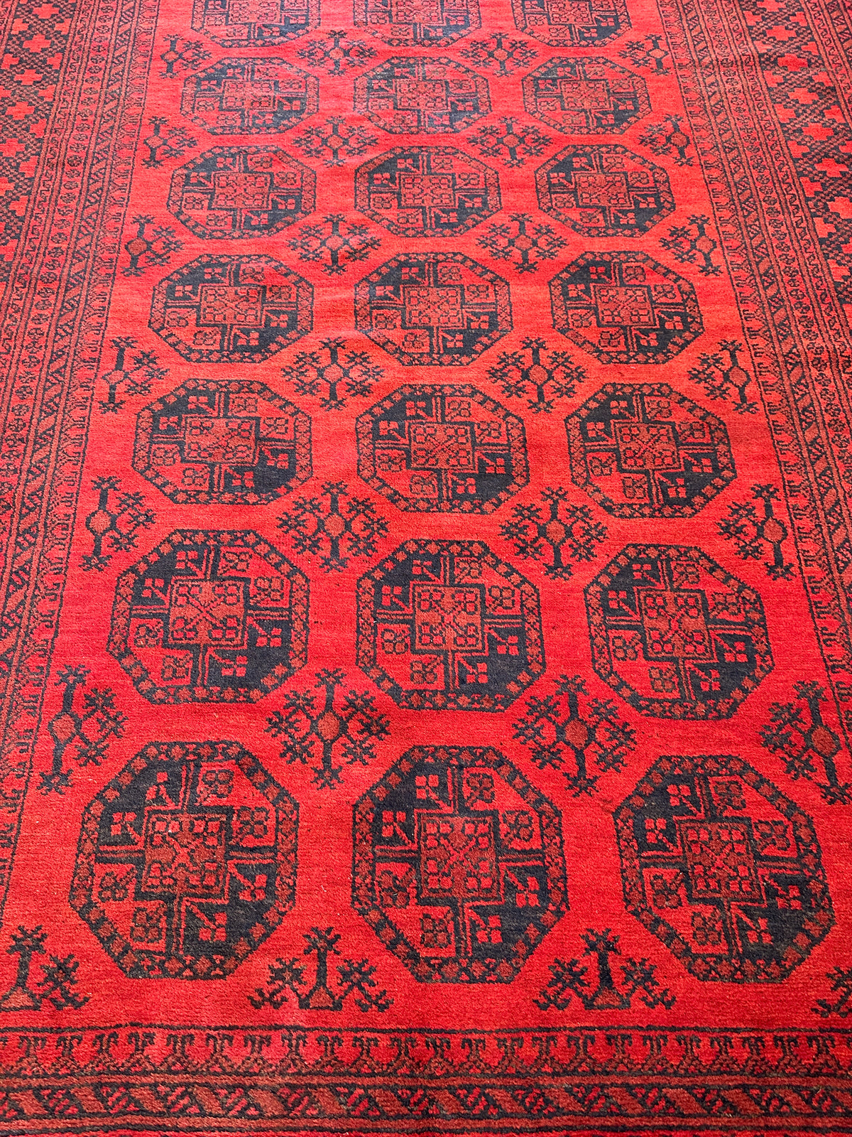 Afghan Bukhara Rug 6'5" x 9'1", Hand-Knotted Wool, Red & Blue, view 4
