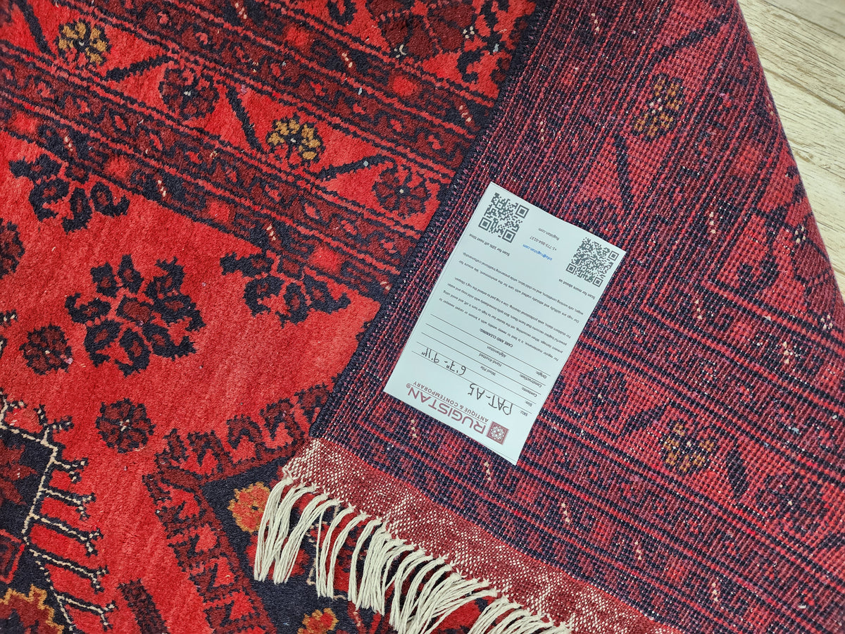 Afghan Patnos Rug 6'7" x 9'11", Hand-Knotted Wool, Red & Blue, view 4