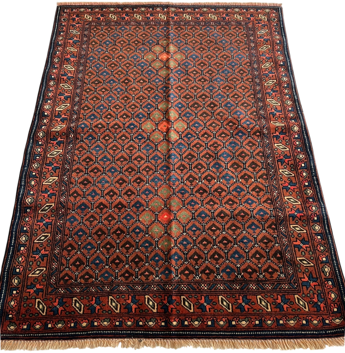 Afghani Rug 4x6 size range tribal laid flat