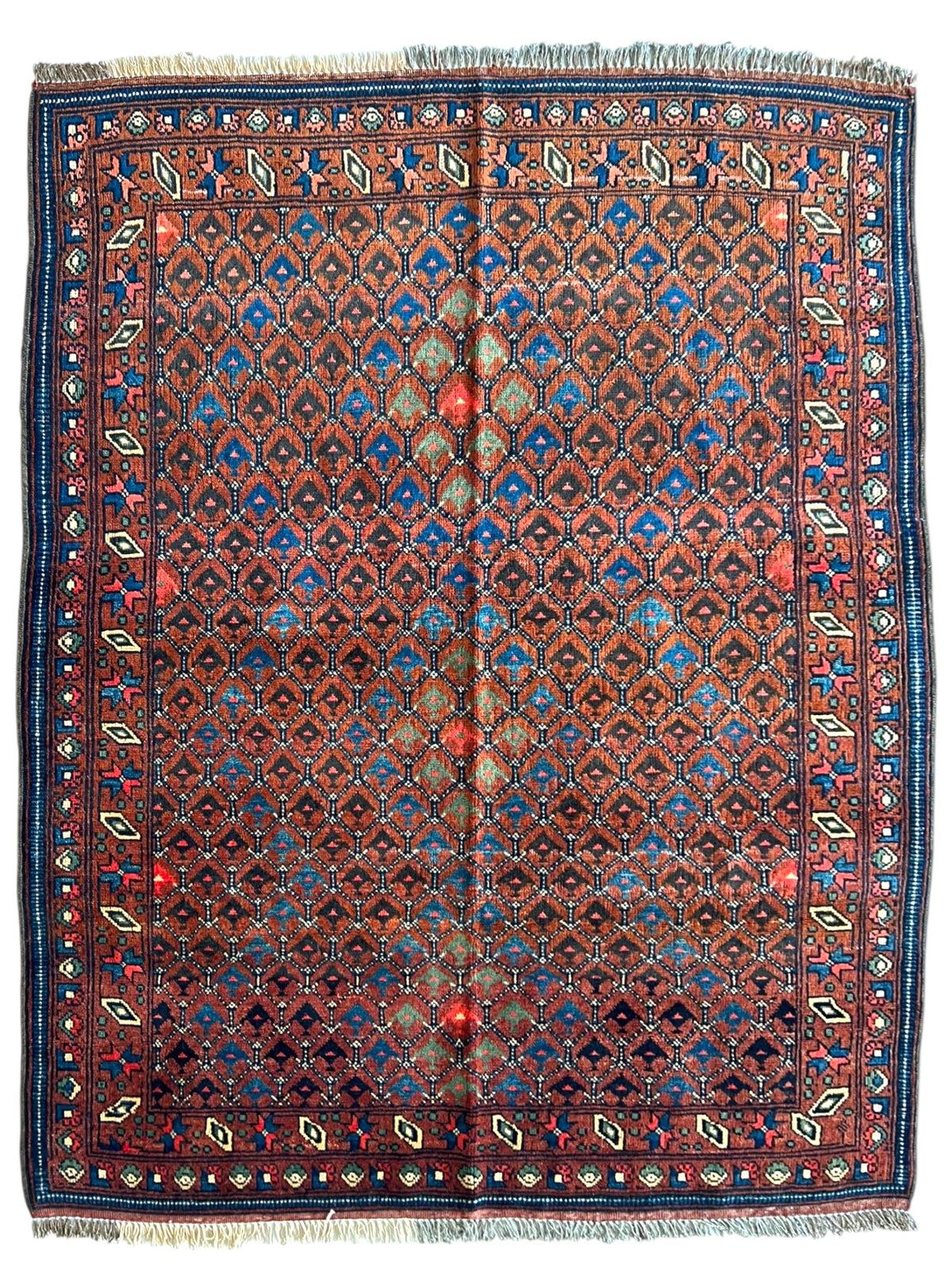 Afghani Rug 5x8 size range tribal laid flat
