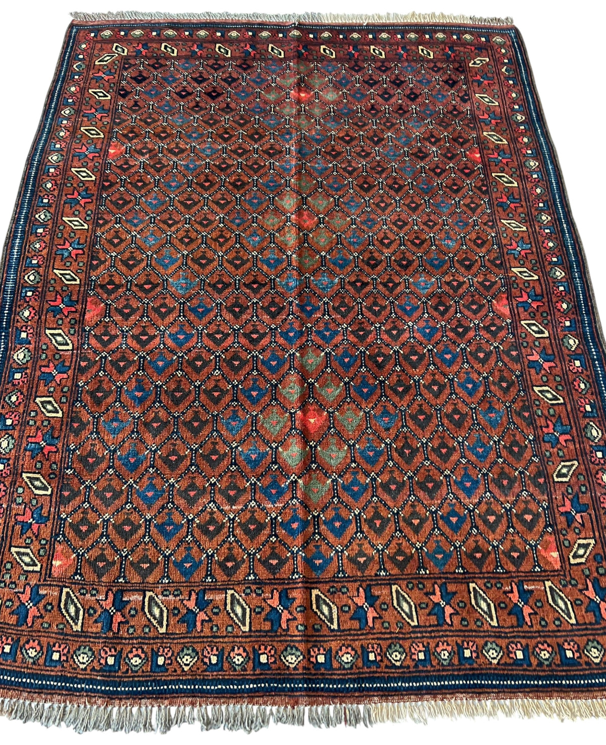 Afghani Rug 5x8 size range tribal laid flat