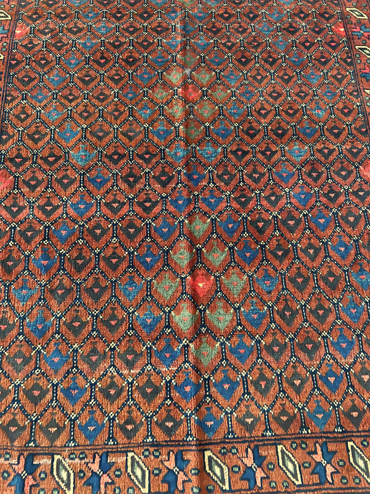 Afghani Rug 5x8 size range tribal laid flat