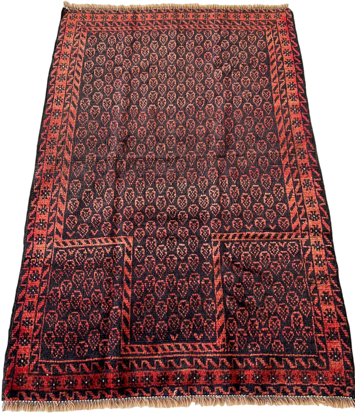 Afghani Prayer Rug 3x5 size range mihrab laid flat