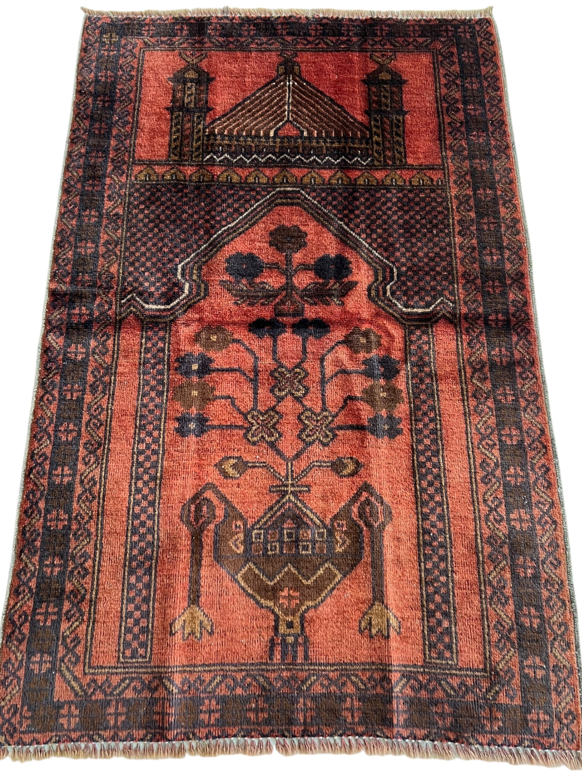 Afghani Prayer Rug 3x5 size range mihrab laid flat