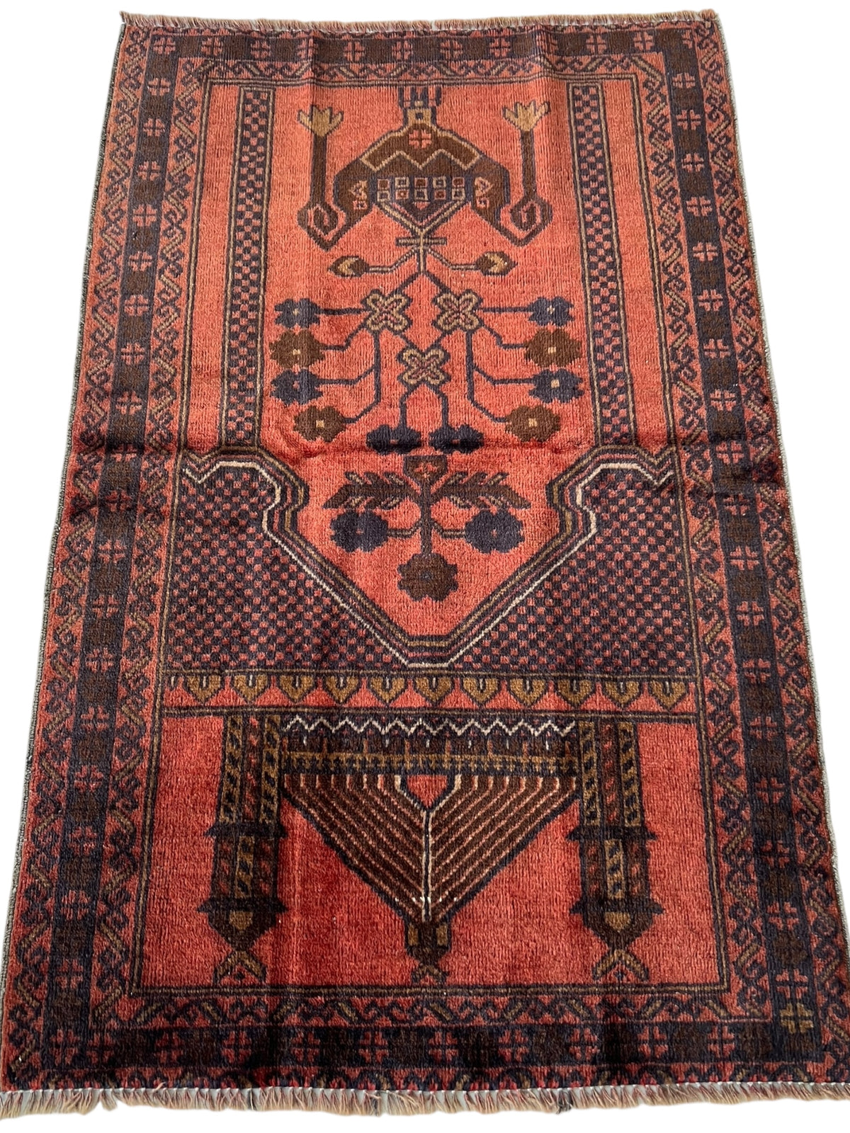 Afghani Prayer Rug 3x5 size range mihrab laid flat