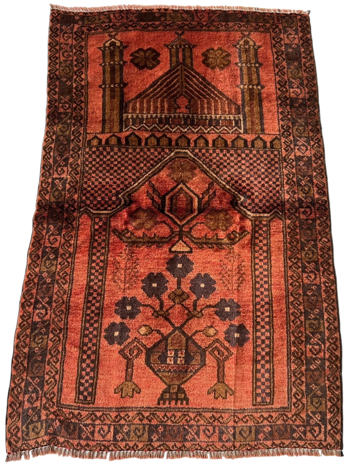 Afghani Prayer Rug 3x5 size range mihrab laid flat