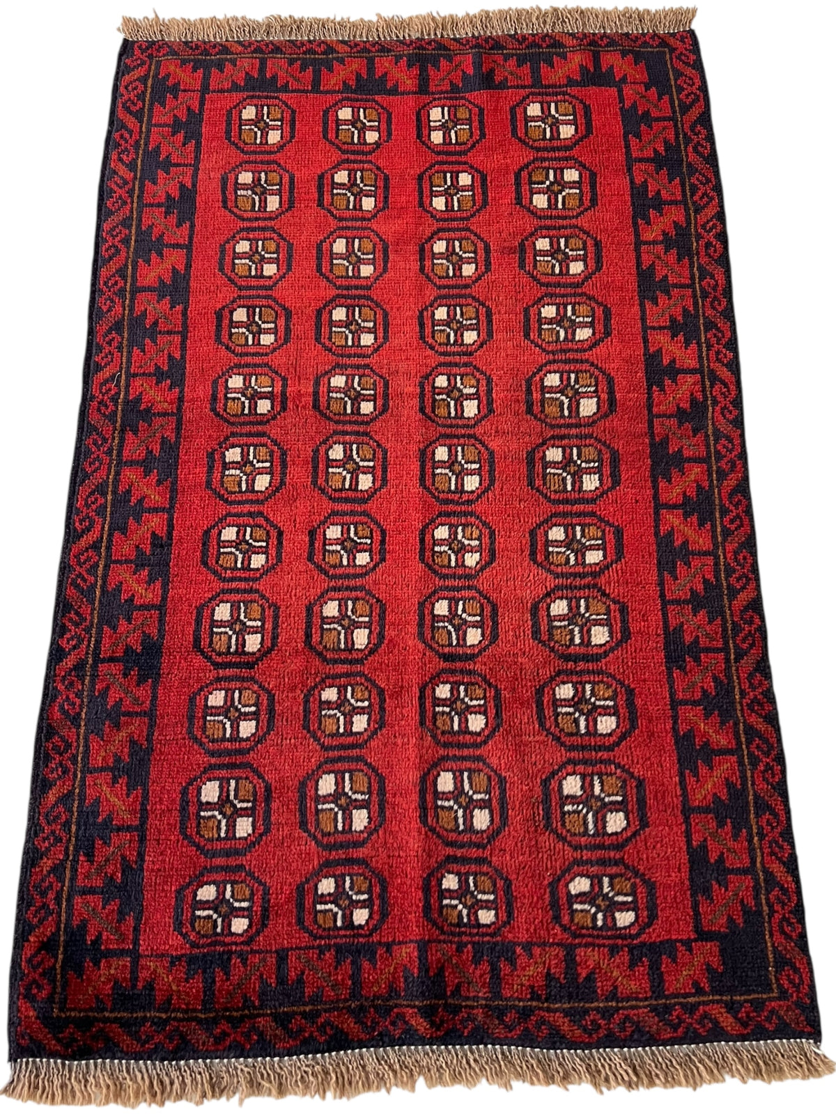 Afghani Rug 3x5 size range tribal Red Blue laid flat