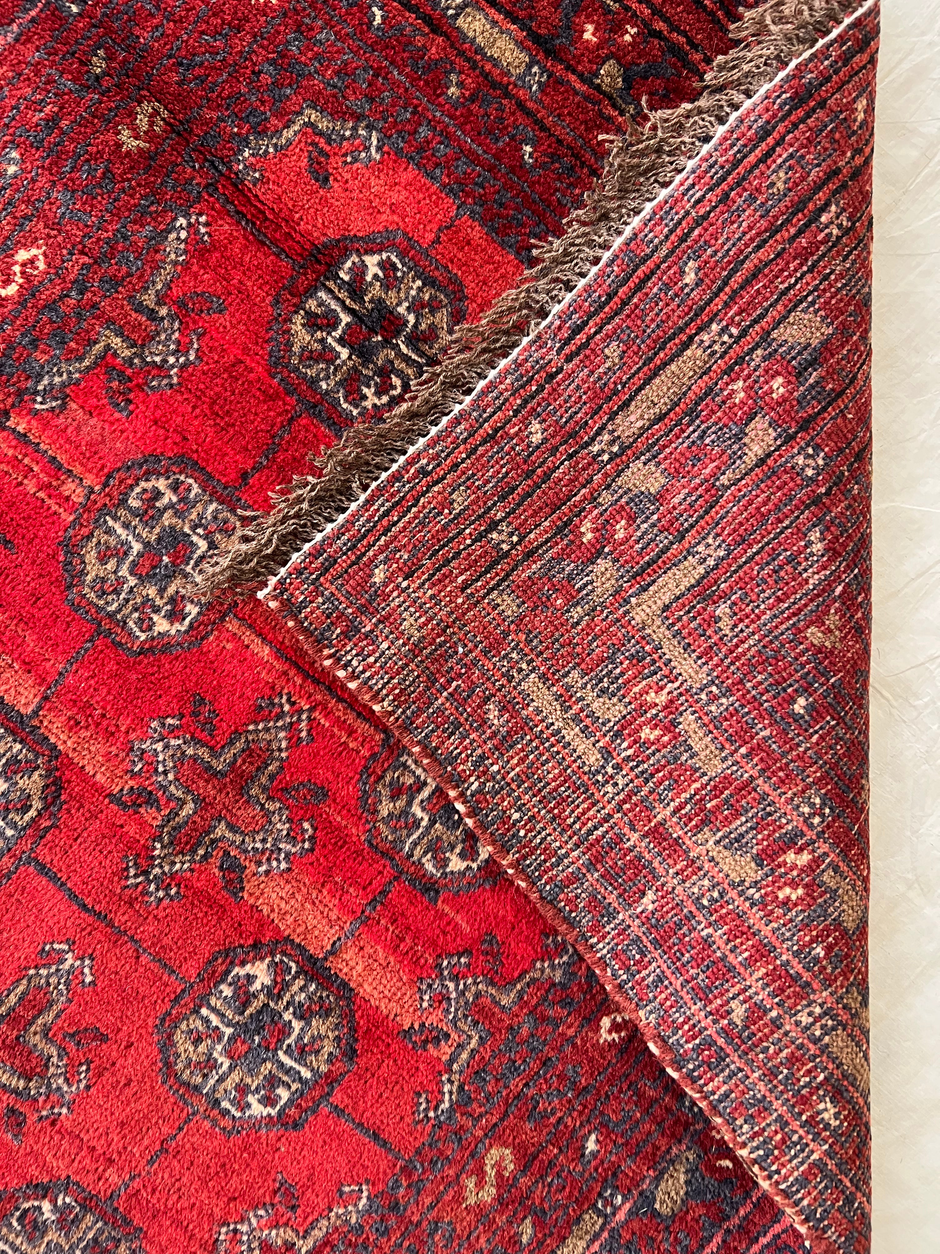 Afghani Rug 3x4 size range tribal Red Blue laid flat