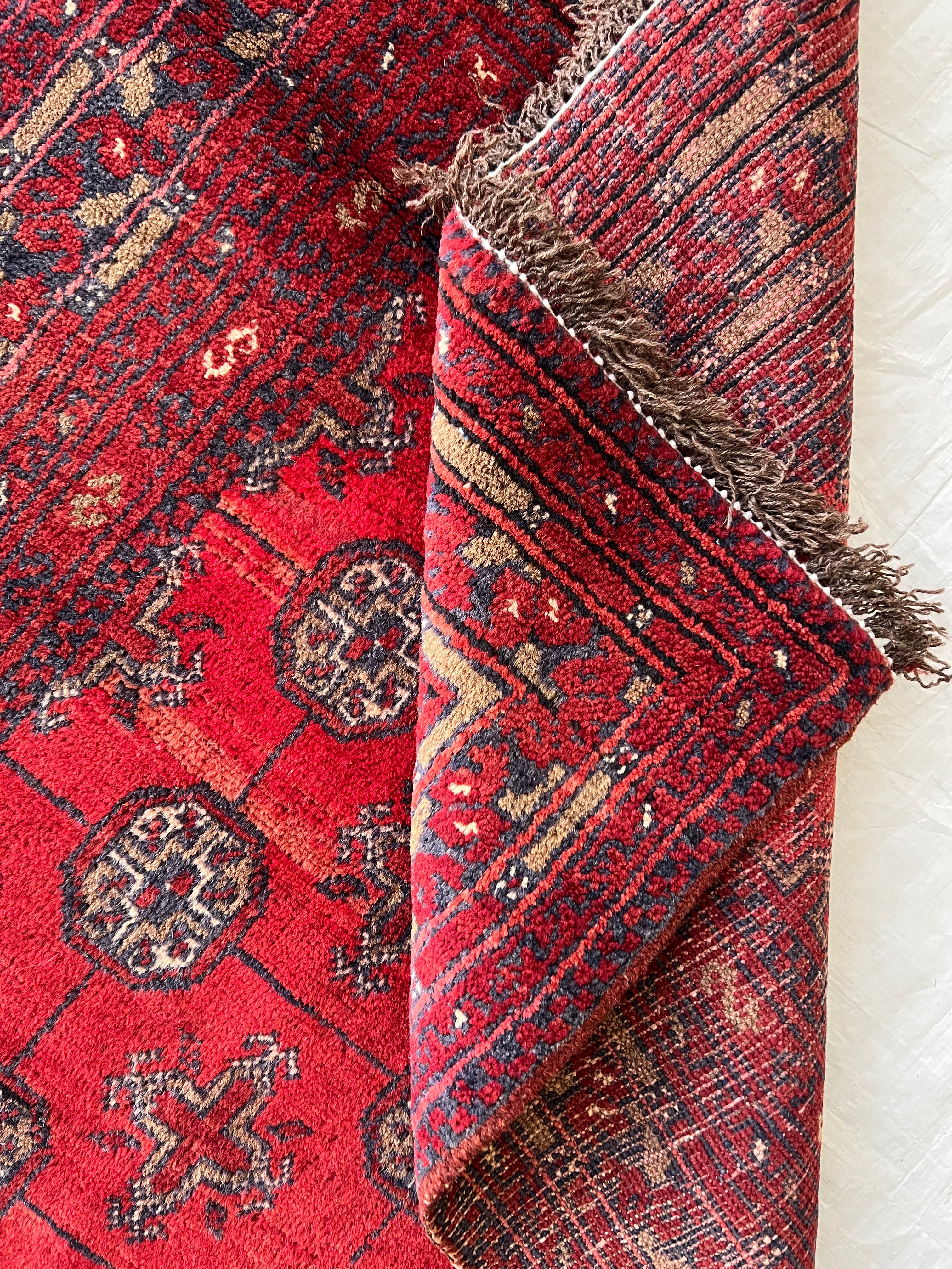 Afghani Rug 3x4 size range tribal Red Blue laid flat