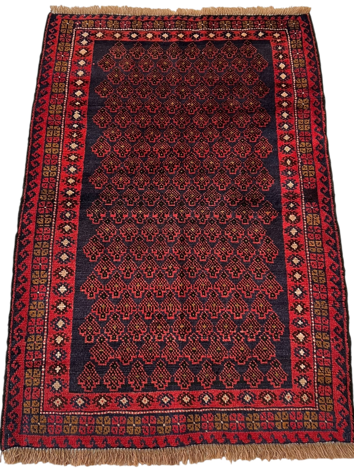 Afghani Rug 3x5 size range tribal Red Blue laid flat