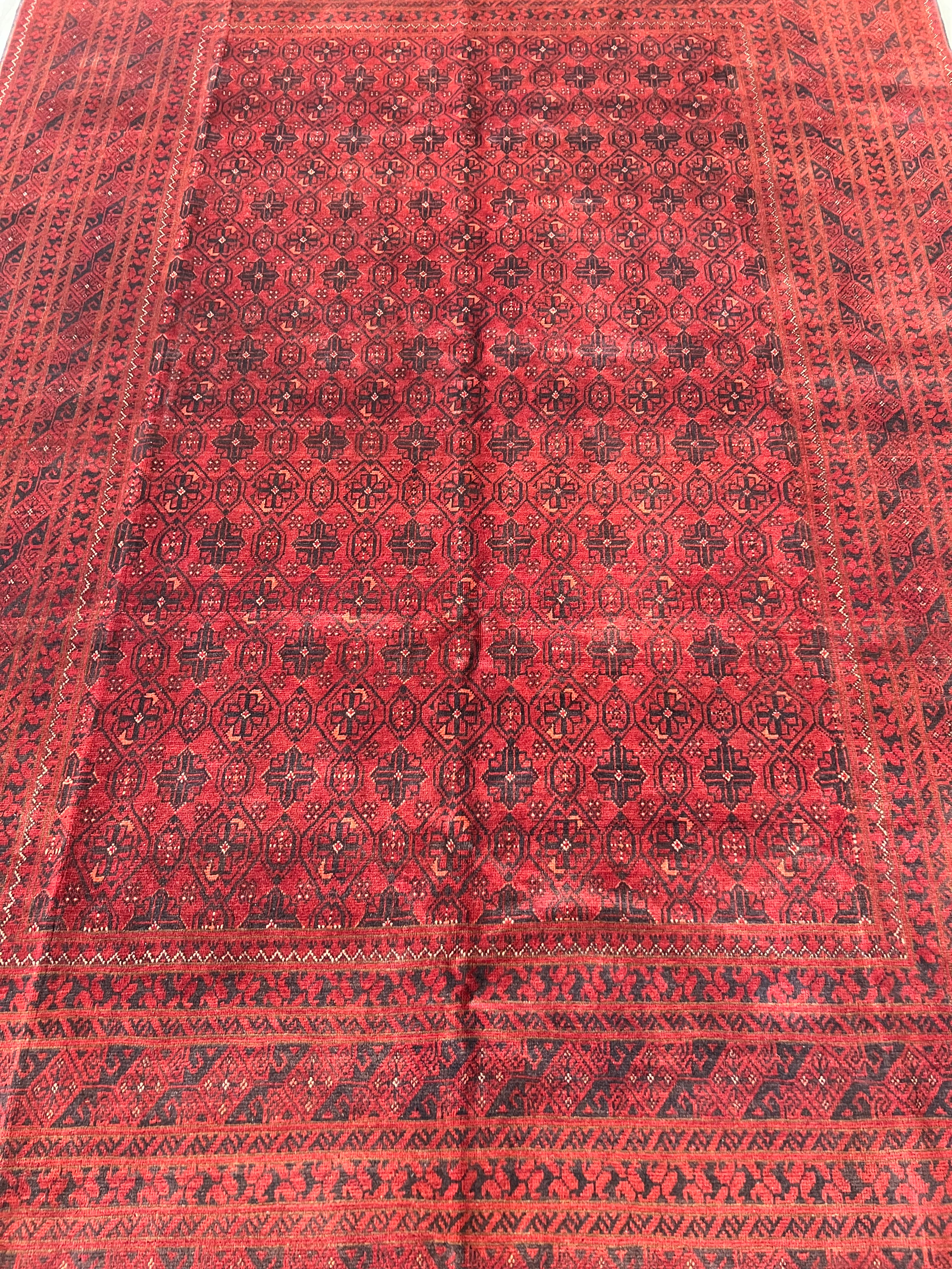 Afghani Rug 7x10 size range tribal Red Blue laid flat