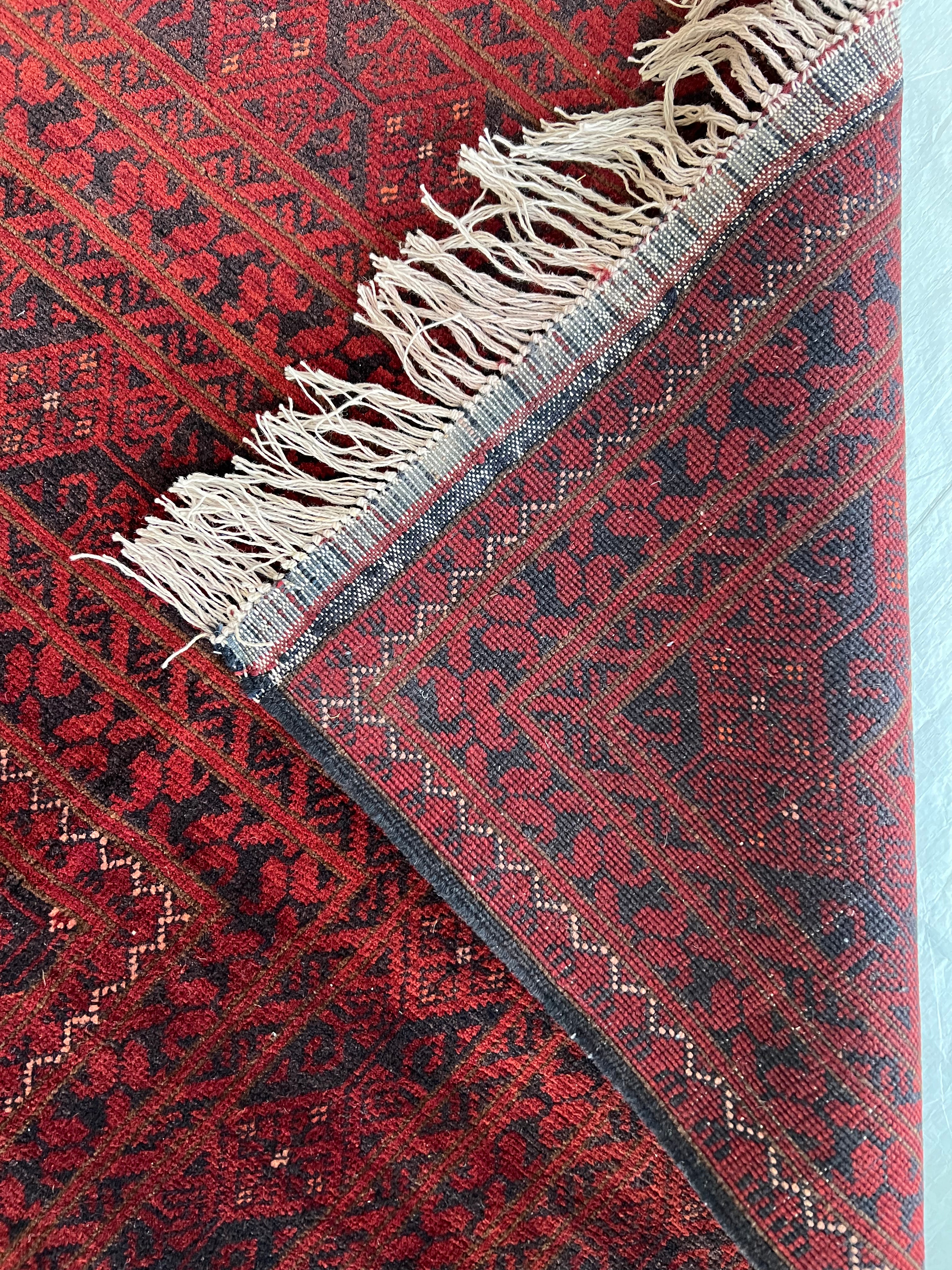 Afghani Rug 7x10 size range tribal Red Blue laid flat