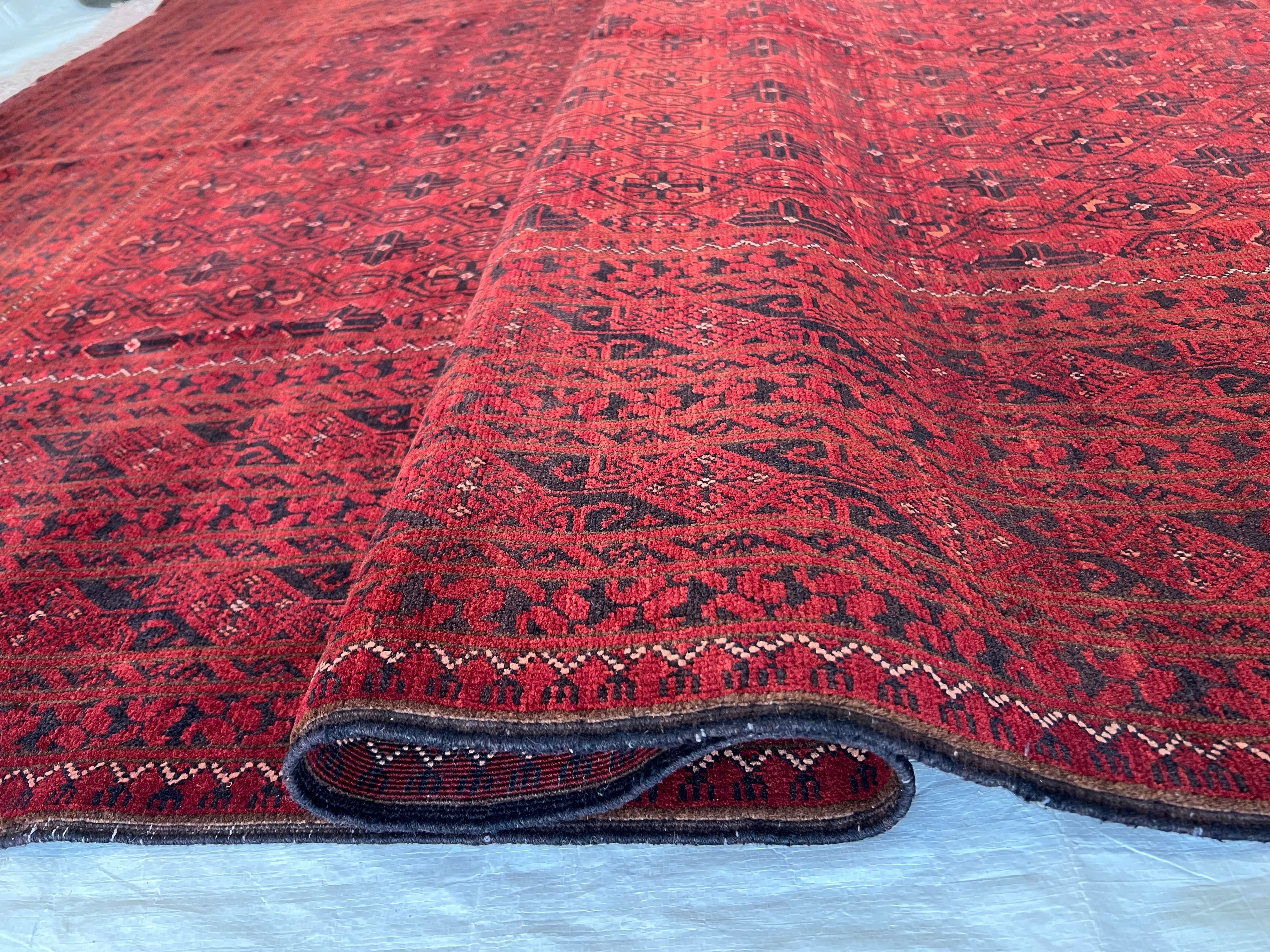 Afghani Rug 7x10 size range tribal Red Blue laid flat