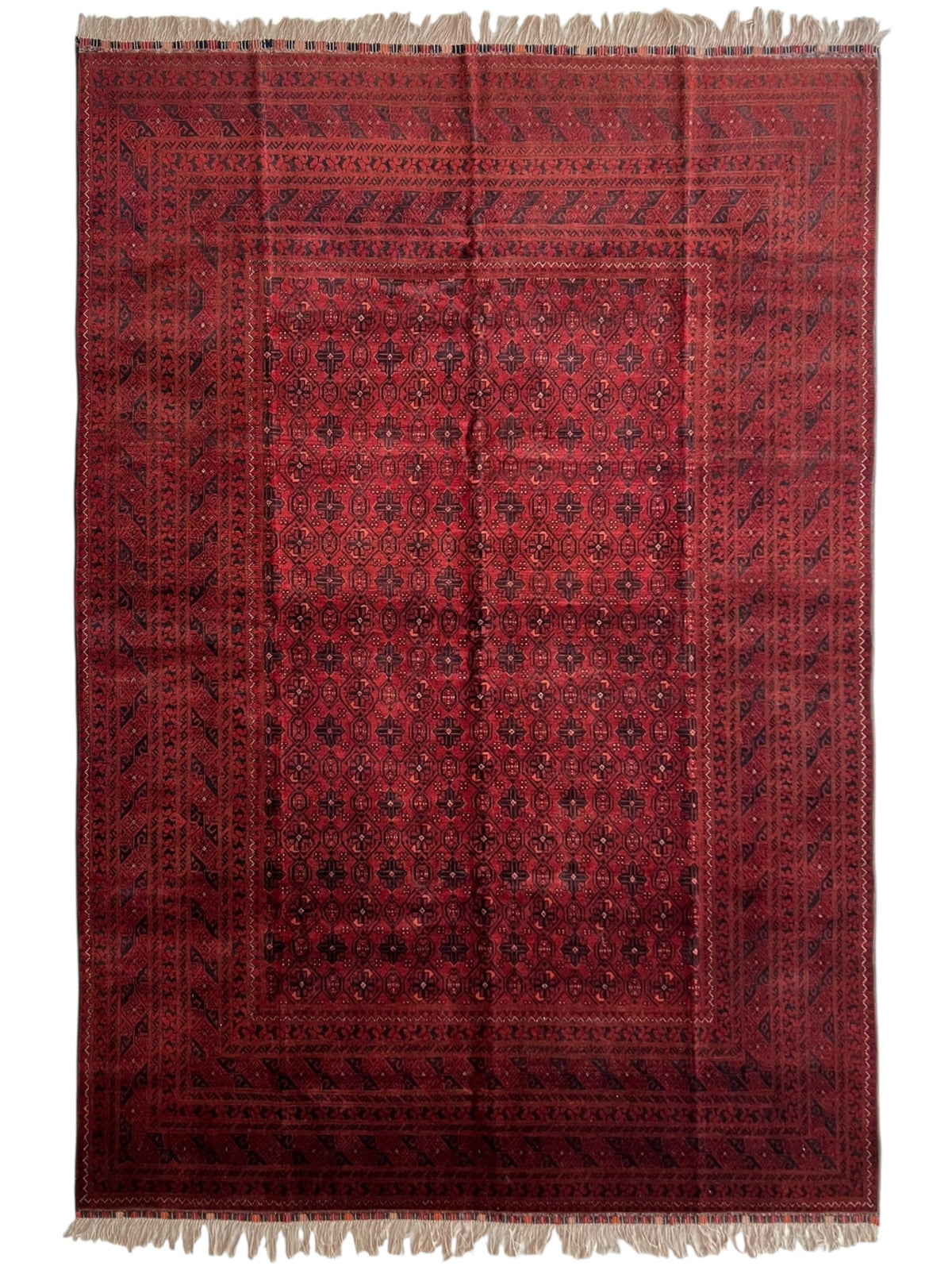 Afghani Rug 7x10 size range tribal Red Blue laid flat