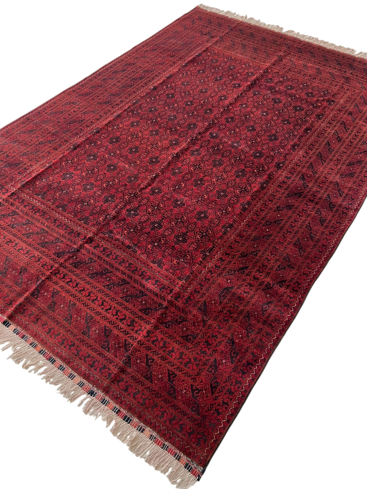 Afghani Rug 7x10 size range tribal Red Blue laid flat