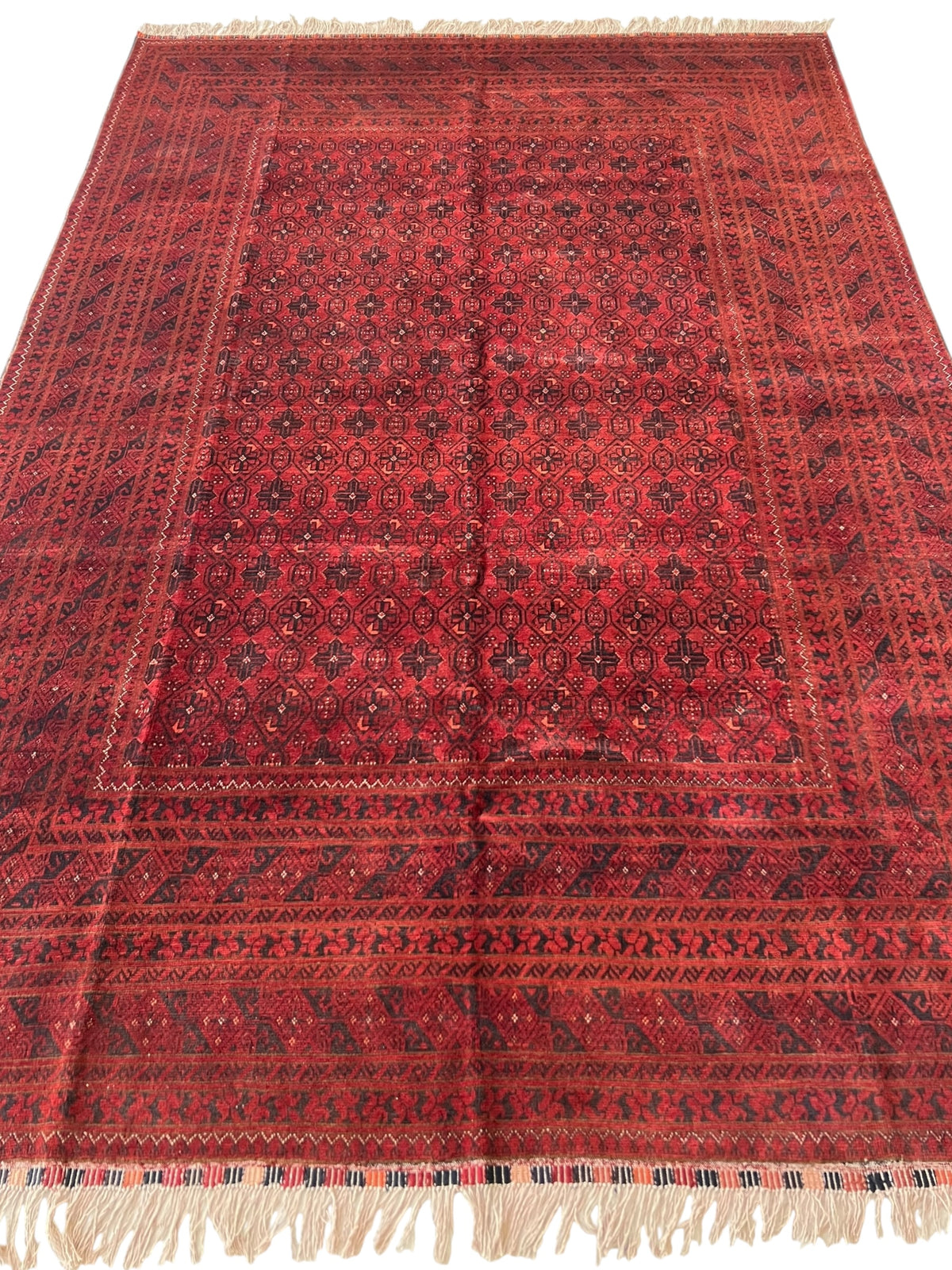 Afghani Rug 7x10 size range tribal Red Blue laid flat