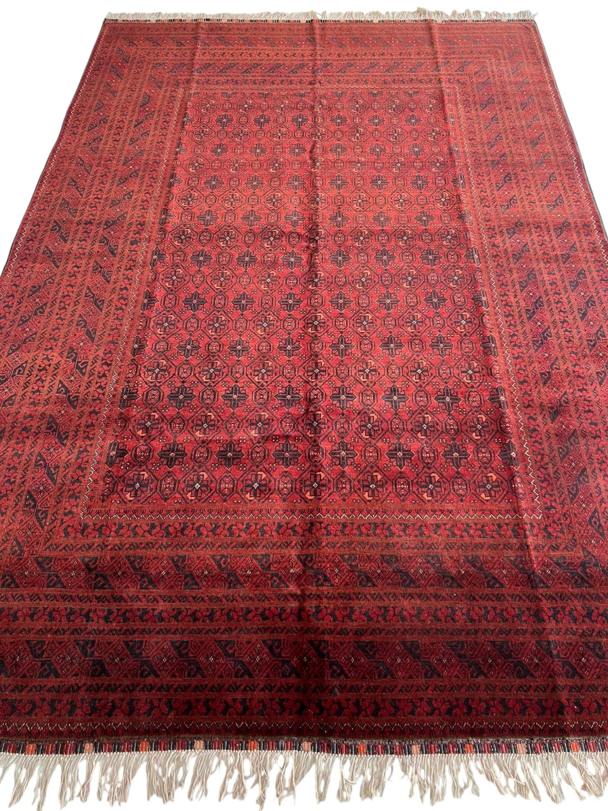 Afghani Rug 7x10 size range tribal Red Blue laid flat