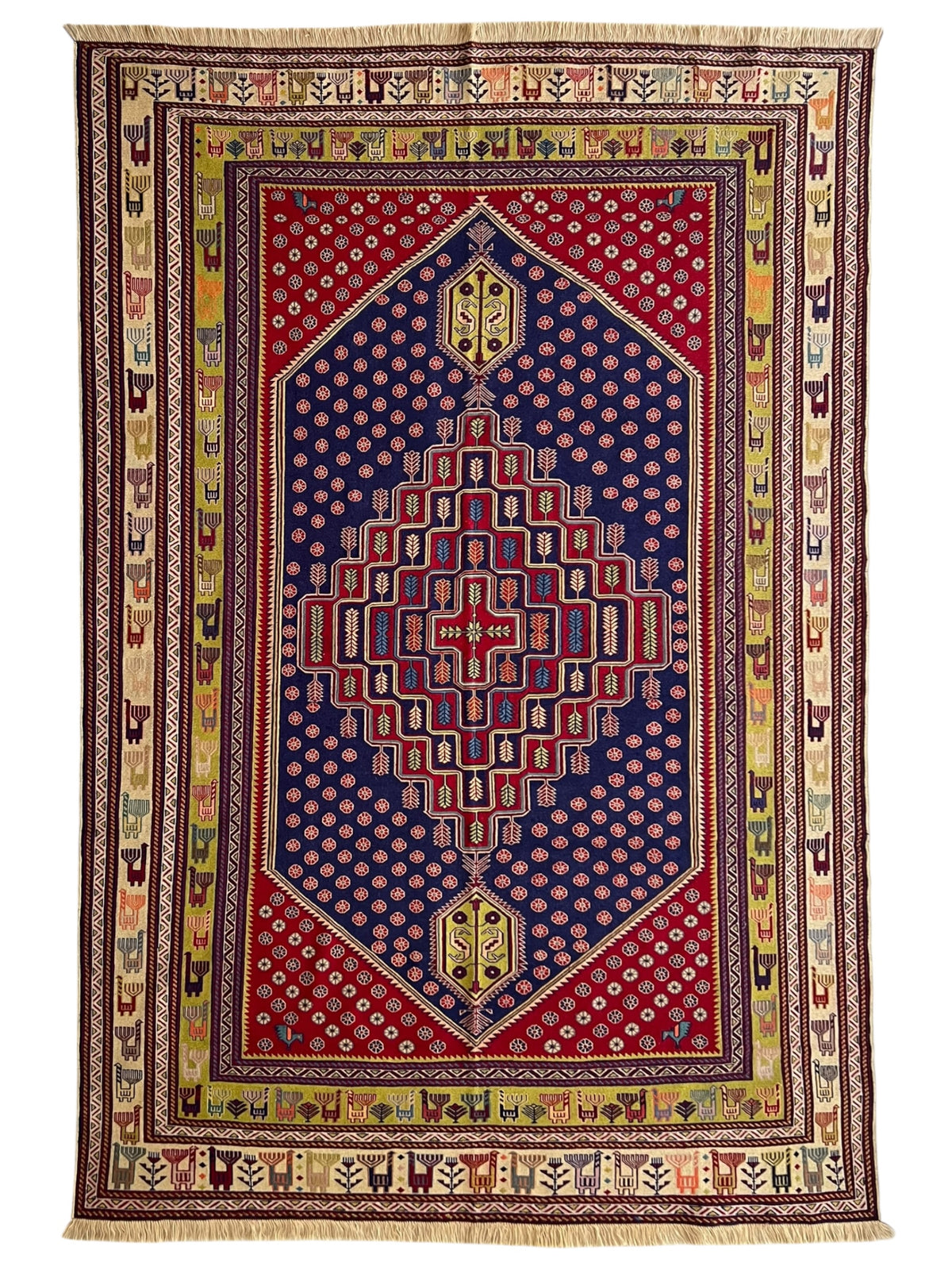 Oriental Rug 6x10 | Navy, Red & Gold | Flatweave Wool