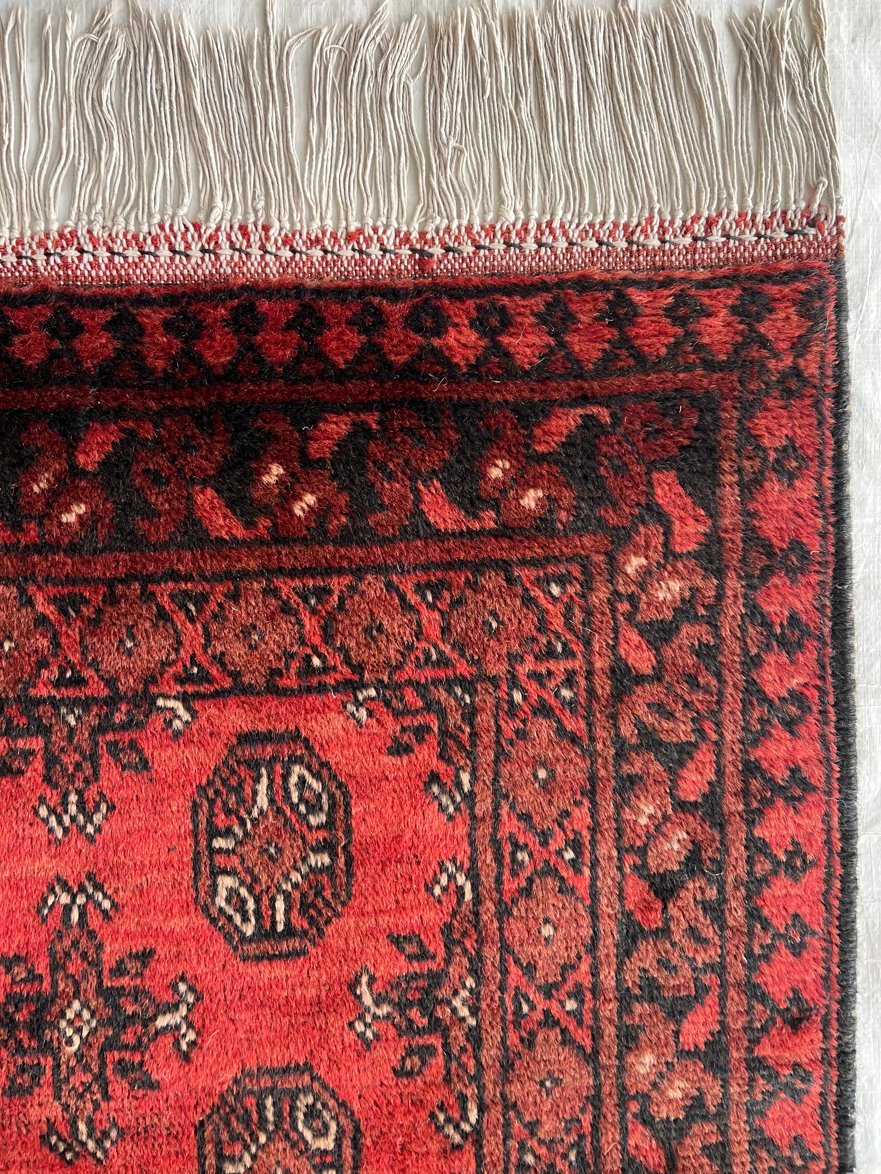 Oriental Runner 3x6 | Red, Burgundy & Black | Hand-Knotted Wool