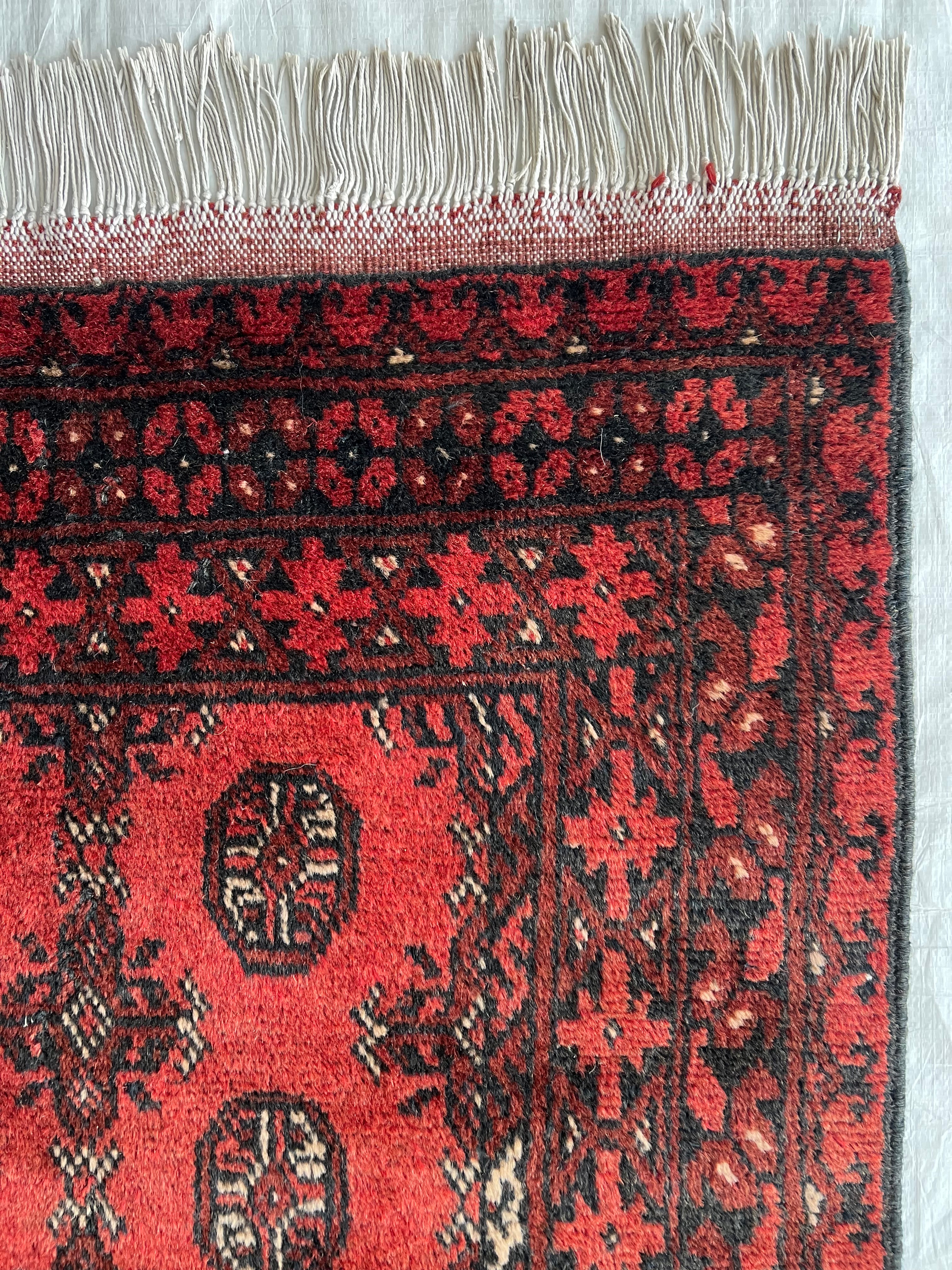 Oriental Rug 3x6 | Red & Black | Hand-Knotted Wool