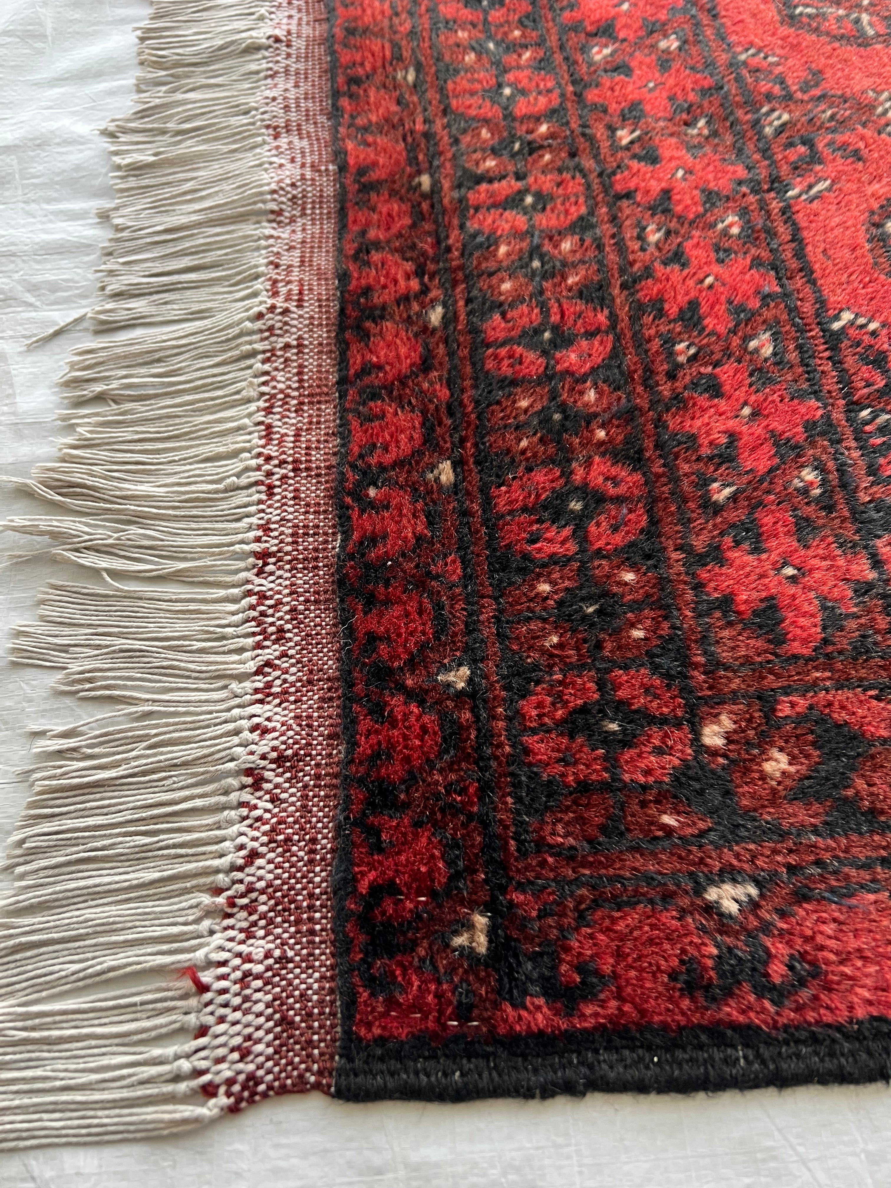 Oriental Rug 3x6 | Red & Black | Hand-Knotted Wool
