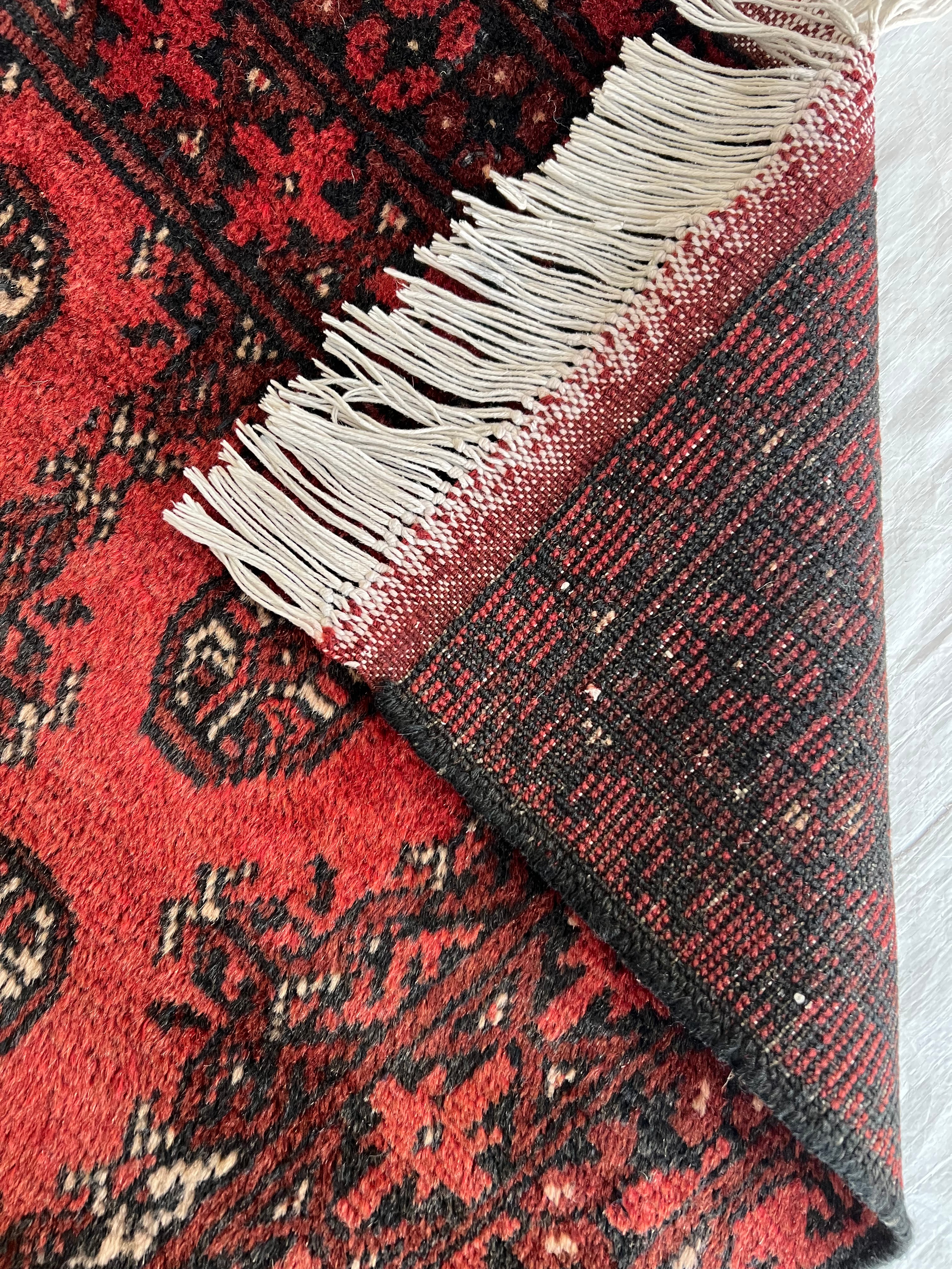 Oriental Rug 3x6 | Red & Black | Hand-Knotted Wool