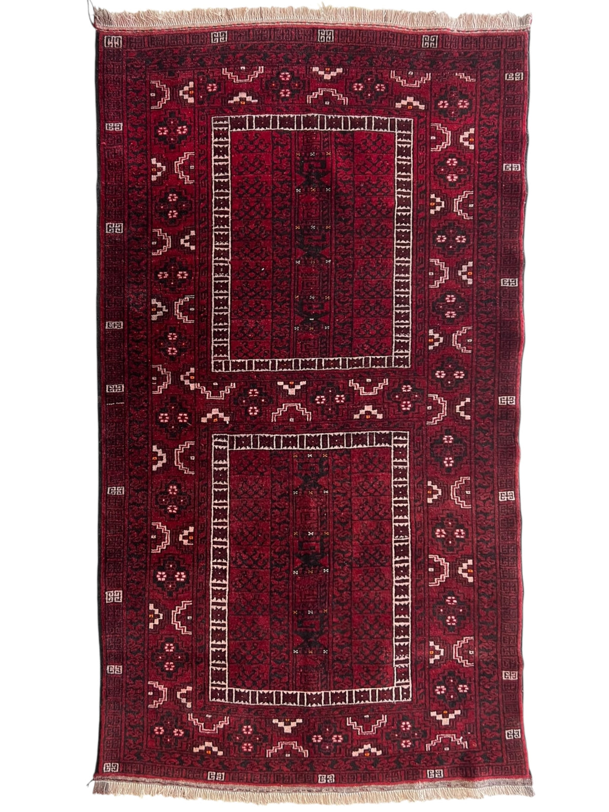 Oriental Rug 4x6 | Burgundy, Red & Black | Hand-Knotted Wool