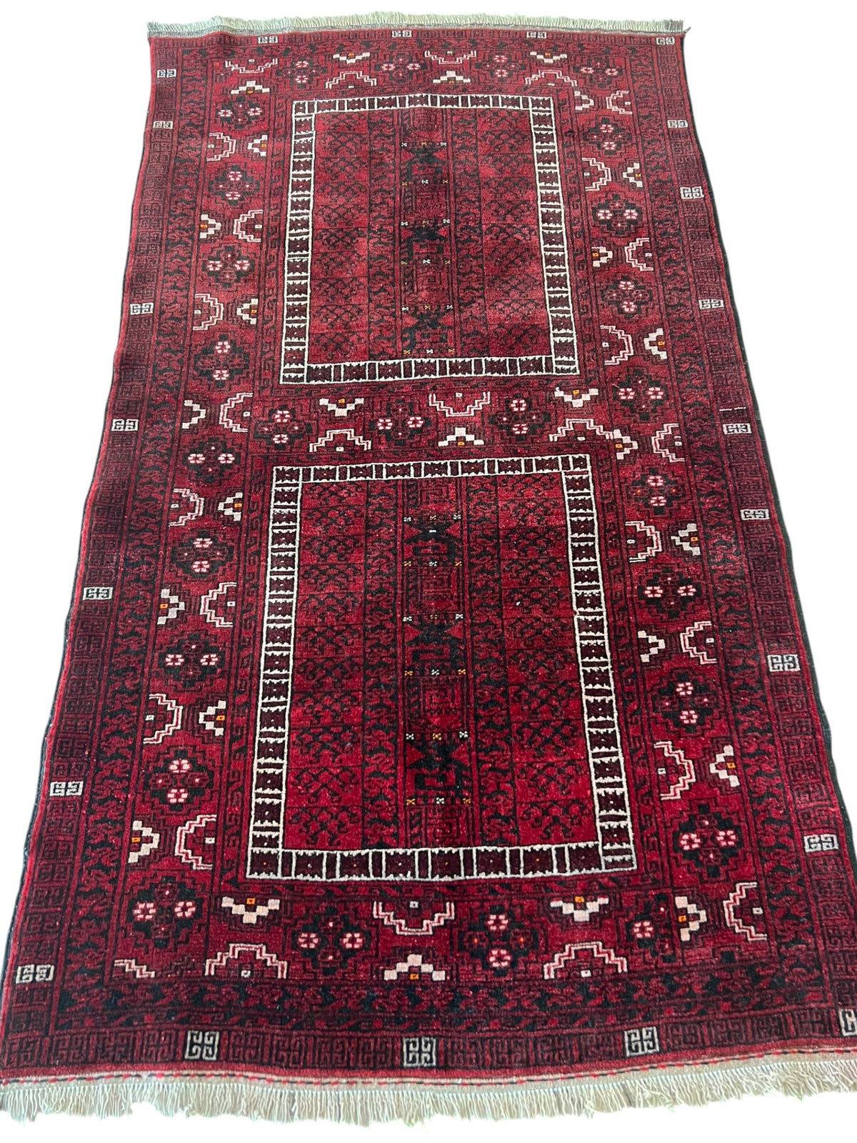 Oriental Rug 4x6 | Burgundy, Red & Black | Hand-Knotted Wool
