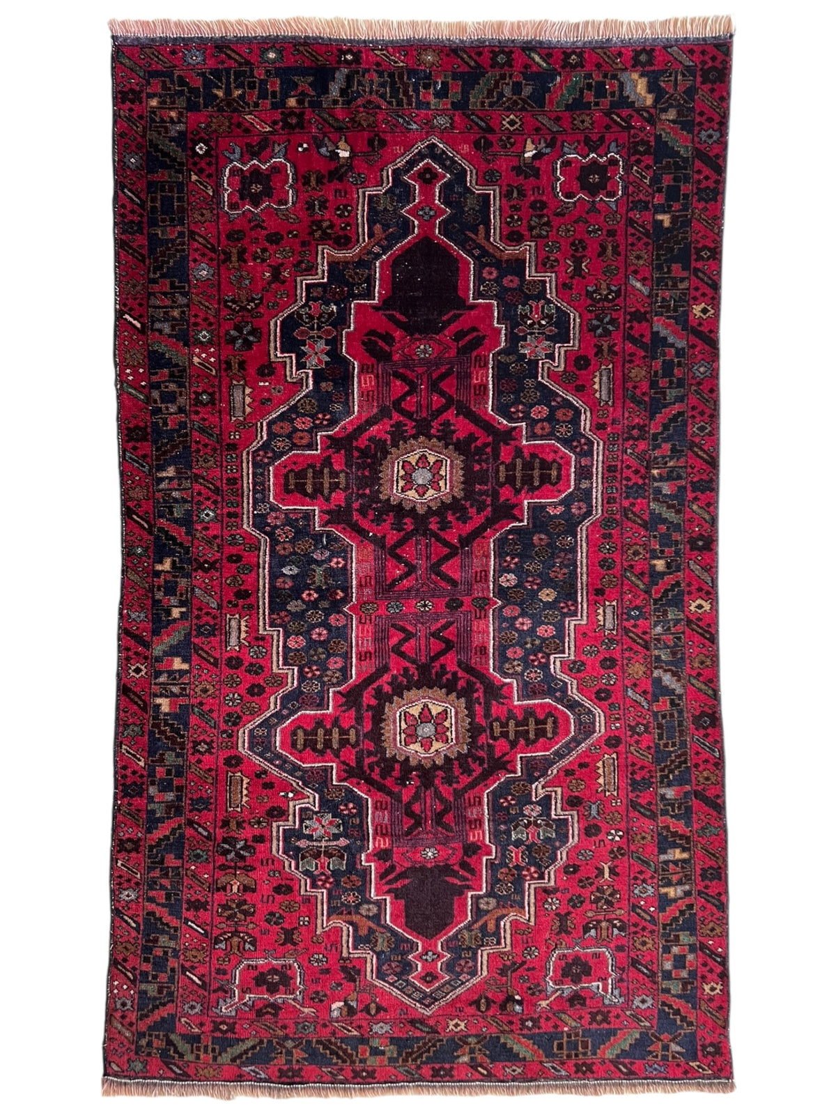 Herati Rug 4x6 | Red, Navy & Pink | Hand-Knotted Wool