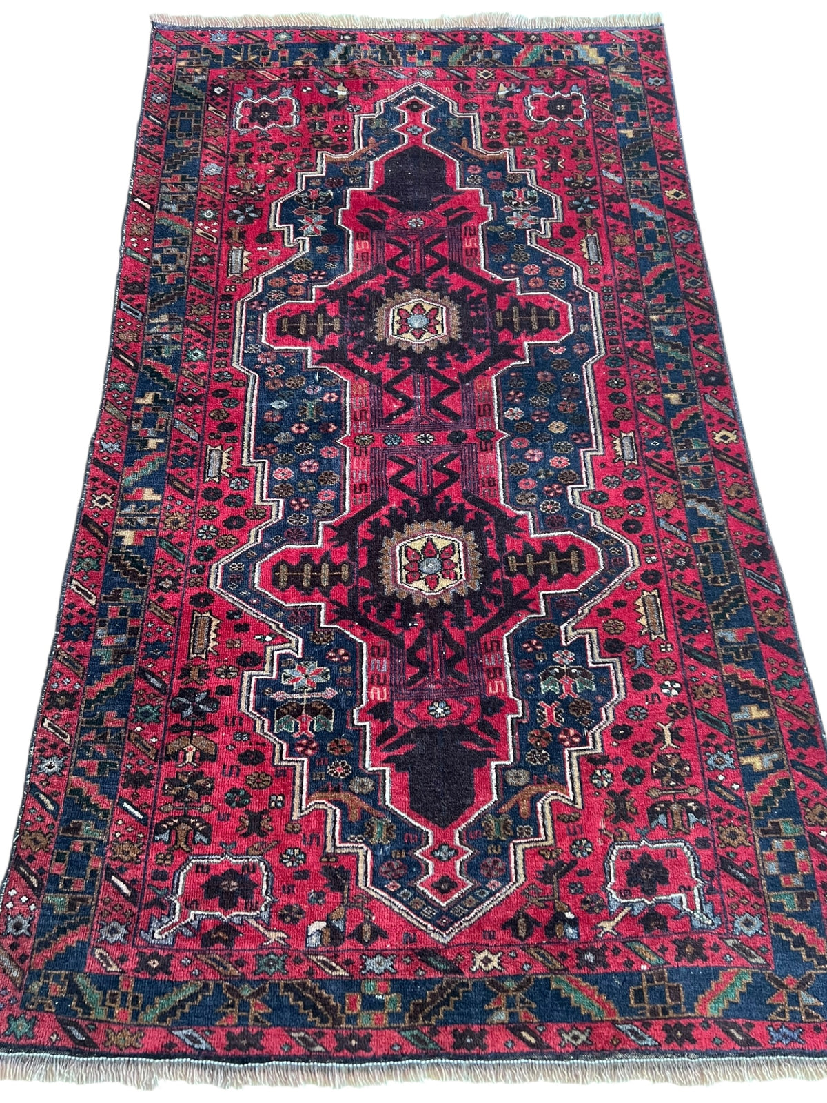 Herati Rug 4x6 | Red, Navy & Pink | Hand-Knotted Wool