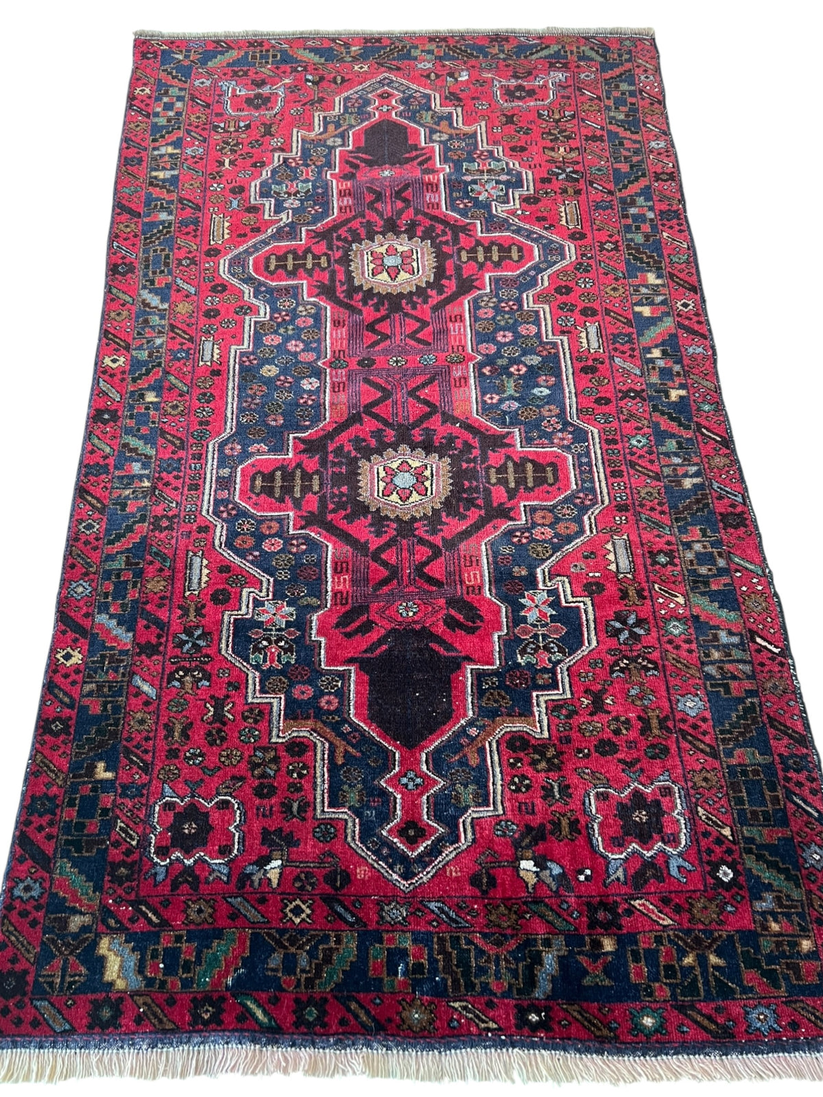Herati Rug 4x6 | Red, Navy & Pink | Hand-Knotted Wool
