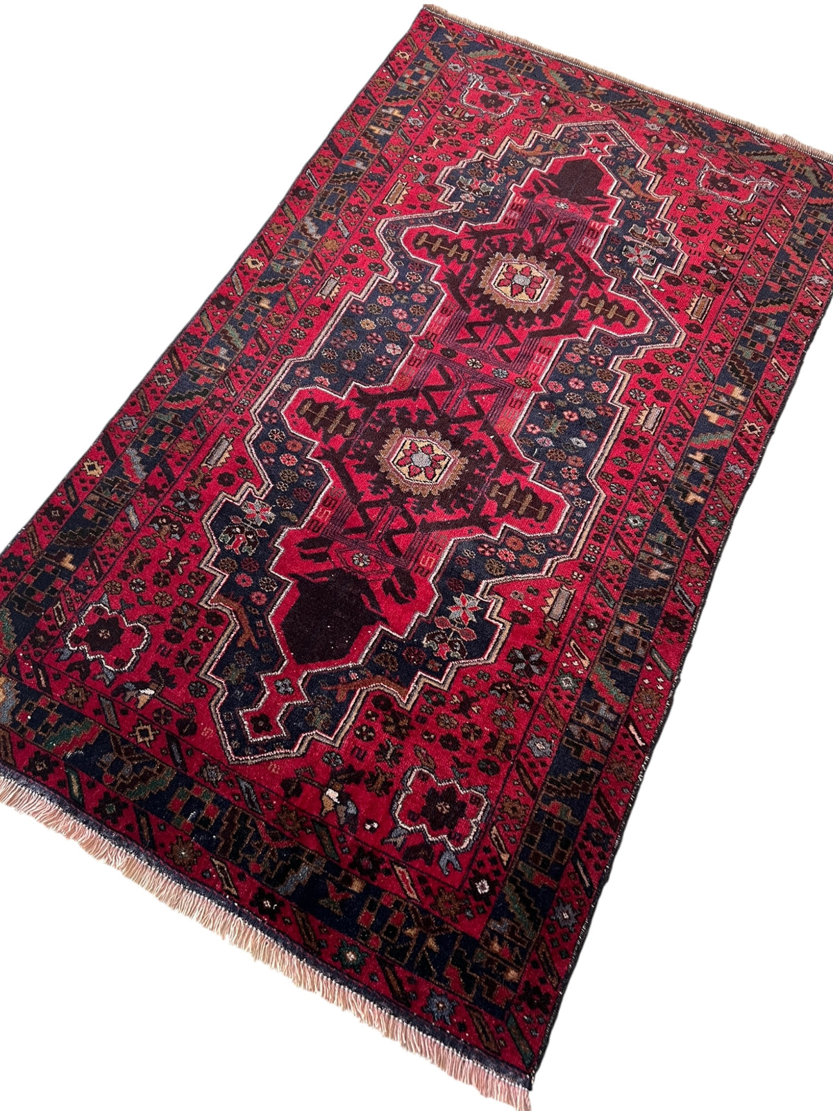 Herati Rug 4x6 | Red, Navy & Pink | Hand-Knotted Wool