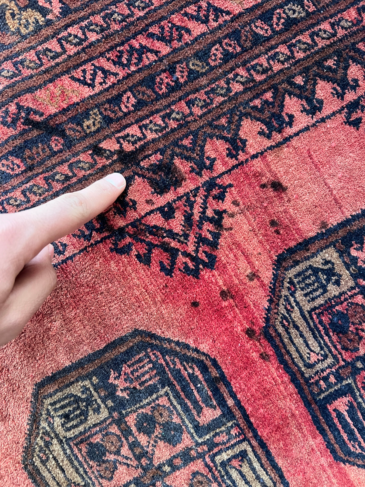 Oriental Rug 7x8 | Red, Burgundy & Black | Hand-Knotted Wool