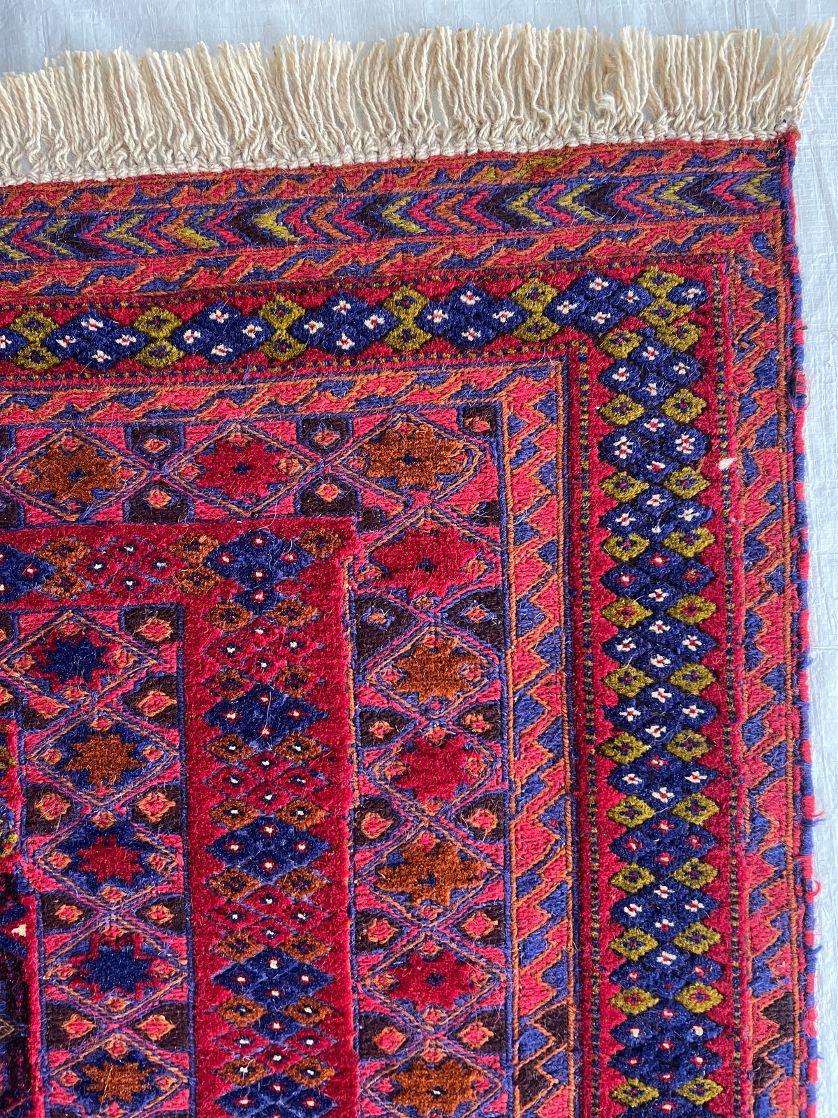Oriental Rug 5x6 | Red, Navy & Purple | Hand-Knotted Wool