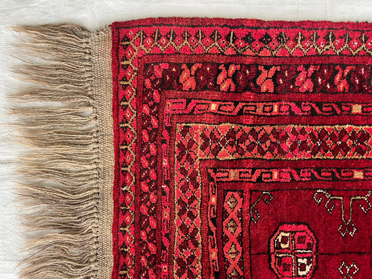 Prayer Rug 3x4 | Red, Rust & Ivory | Hand-Knotted Wool