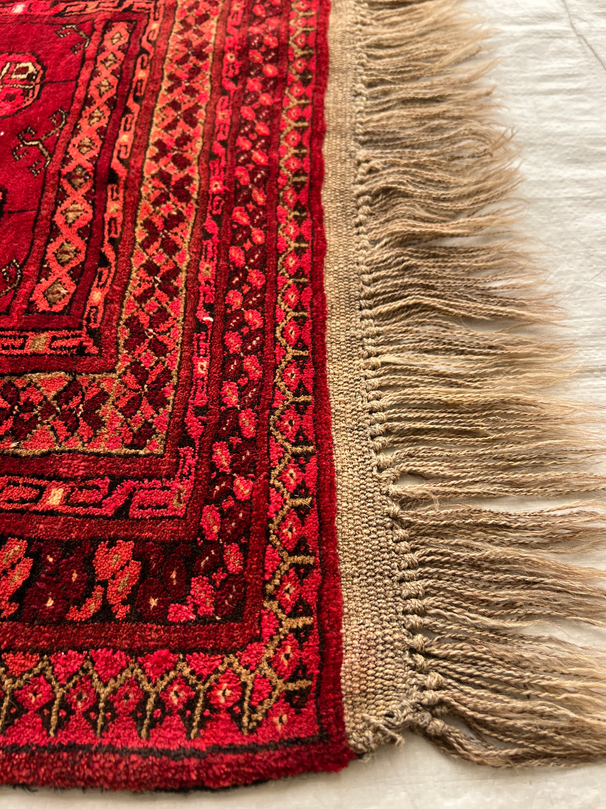 Prayer Rug 3x4 | Red, Rust & Ivory | Hand-Knotted Wool