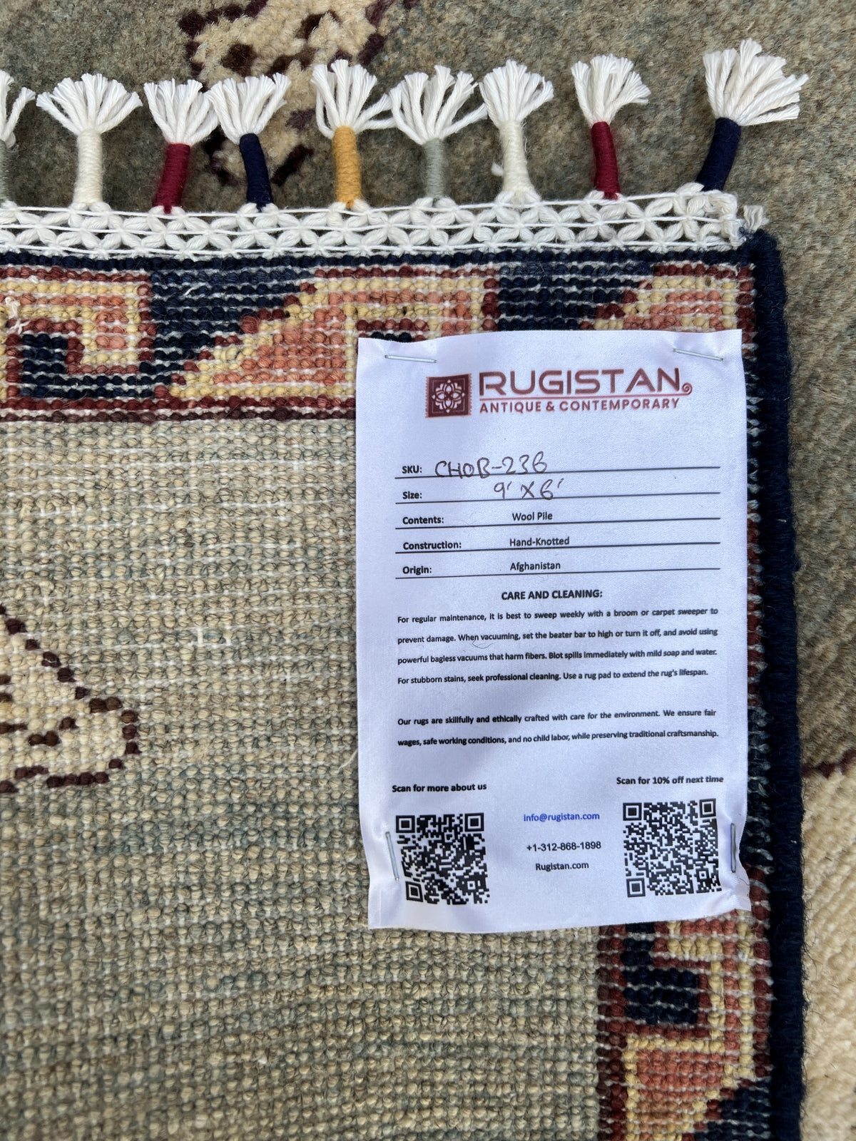 Lion Pictorial Gabbeh Rug 6x9 | Beige, Brown & Sage | Hand-Knotted Wool