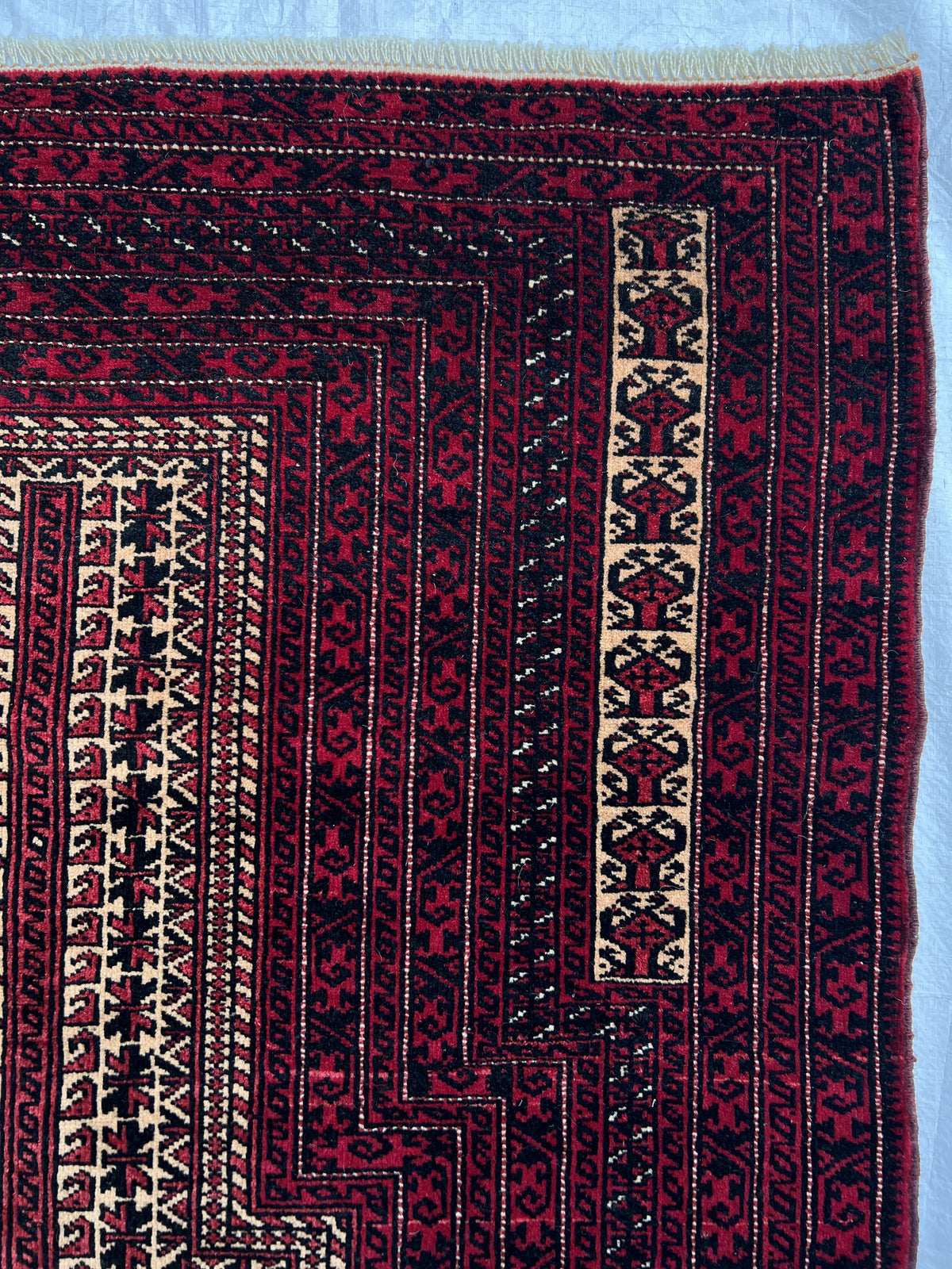 Baluch Prayer Rug 3x5 | Burgundy, Red & Ivory | Hand-Knotted Wool