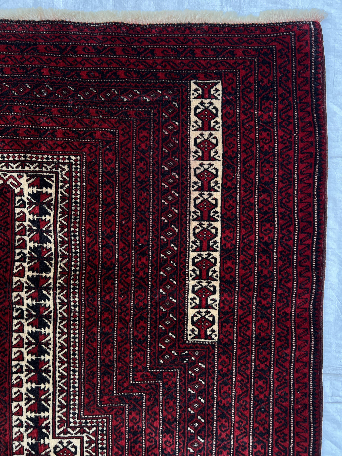 Baluch Prayer Rug 3x5 | Burgundy, Red & Ivory | Hand-Knotted Wool