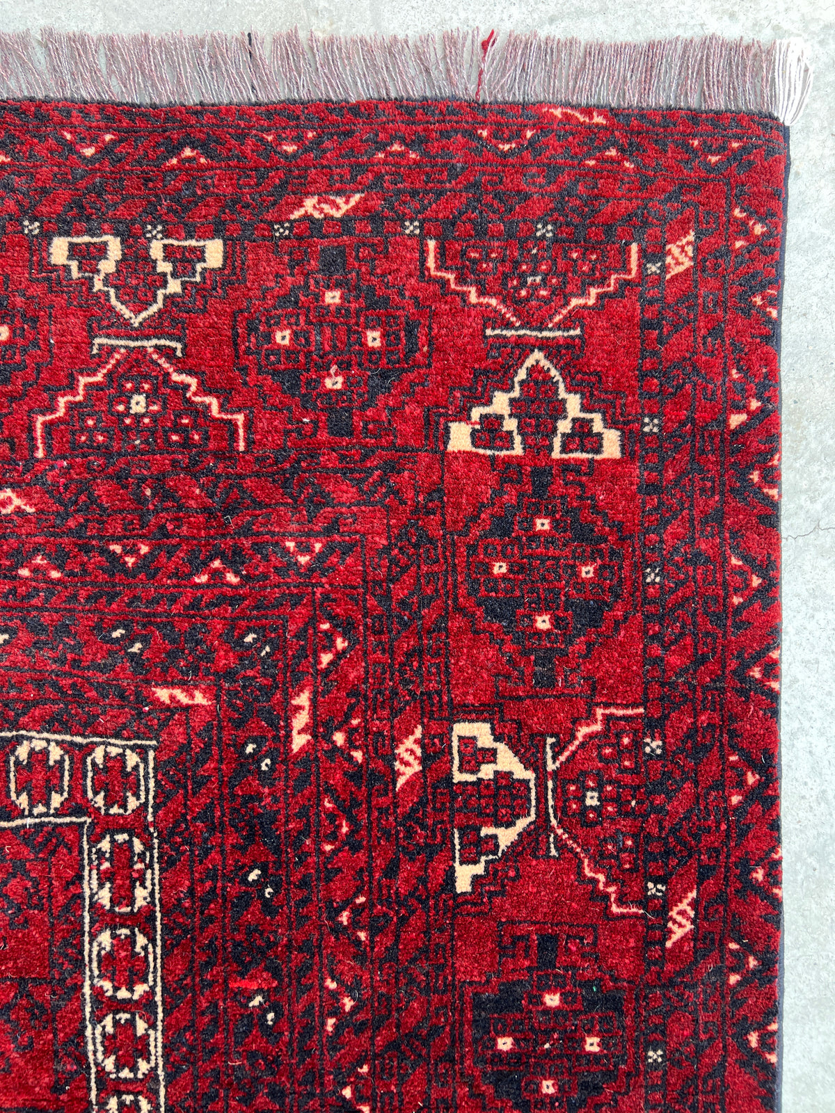 Parda Rug 4x8 | Red, Burgundy & Ivory | Hand-Knotted Wool