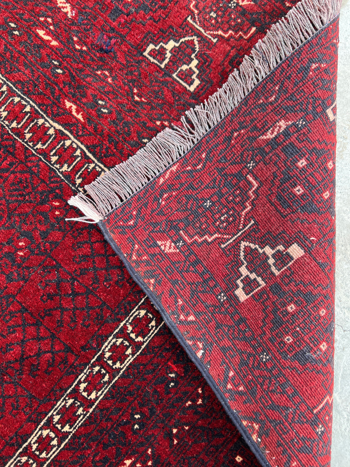Parda Rug 4x8 | Red, Burgundy & Ivory | Hand-Knotted Wool
