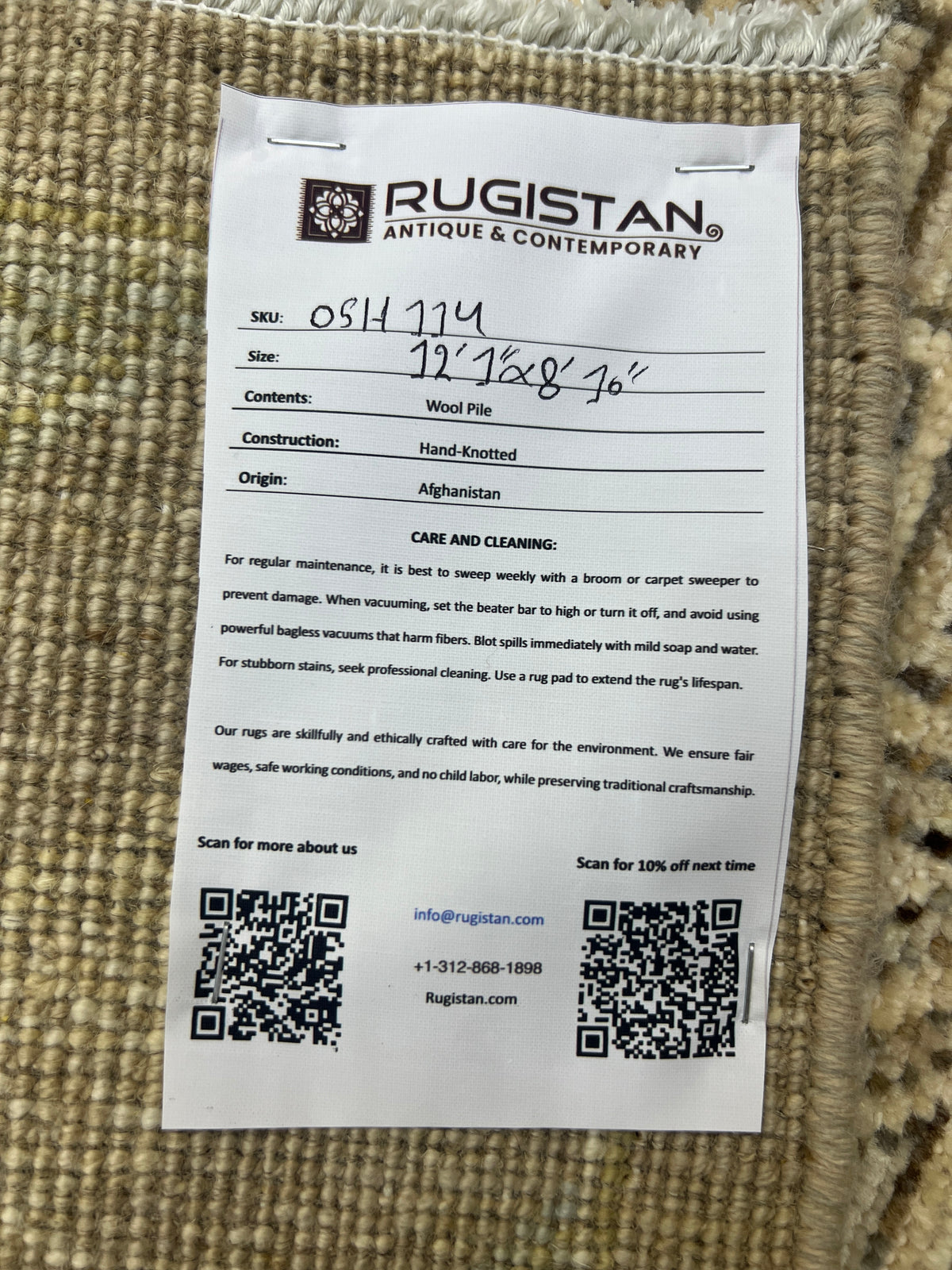 Khotan Rug 9x12 | Taupe, Ivory & Light Blue | Hand-Knotted Wool