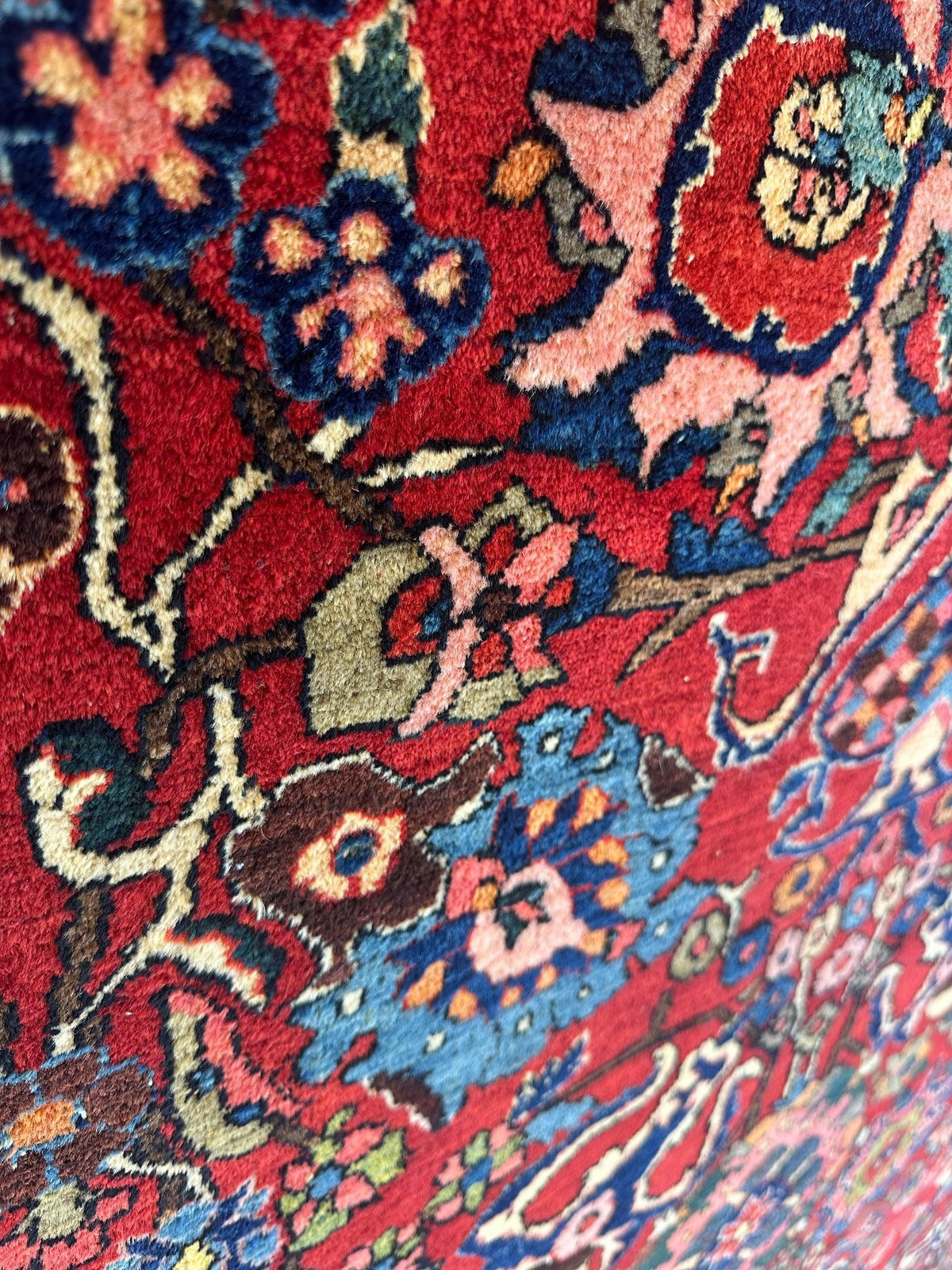 Antique Persian Bakhtiari Rug 8'6" x 13'2", Hand-Knotted Wool, c. 1900, view 8